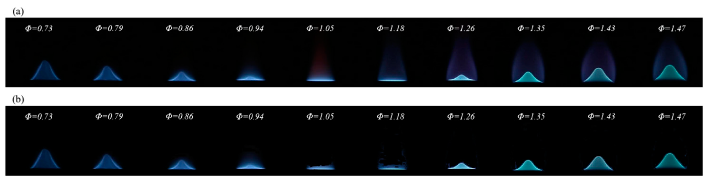 Sensors 24 06853 g010