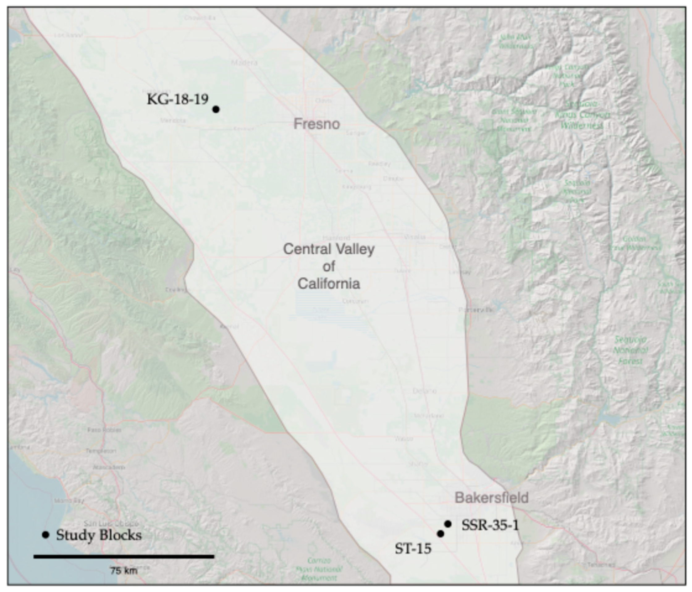 Sensors 24 06855 g002