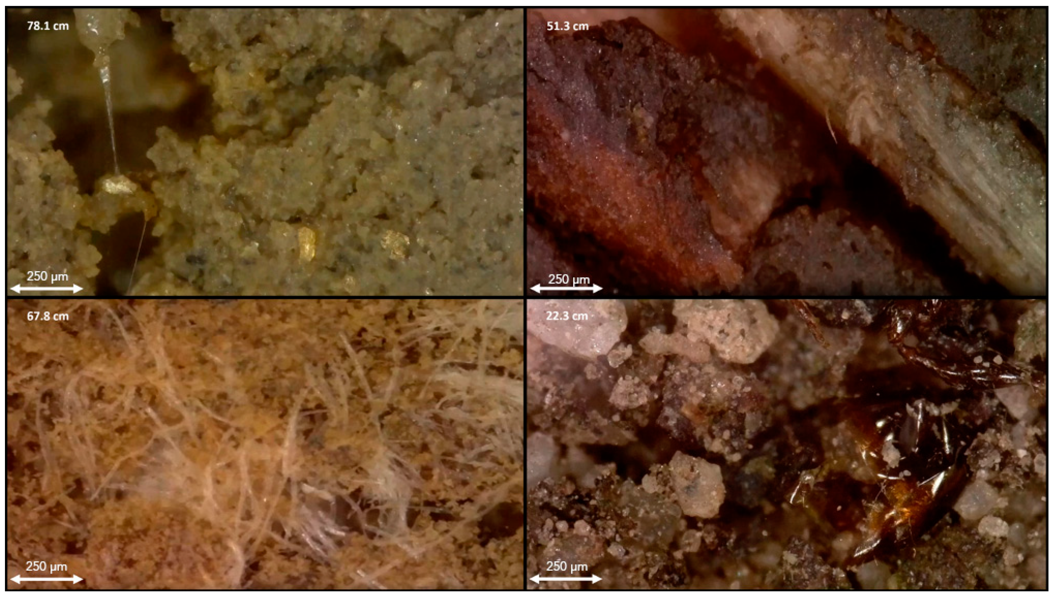 Sensors 24 06855 g005