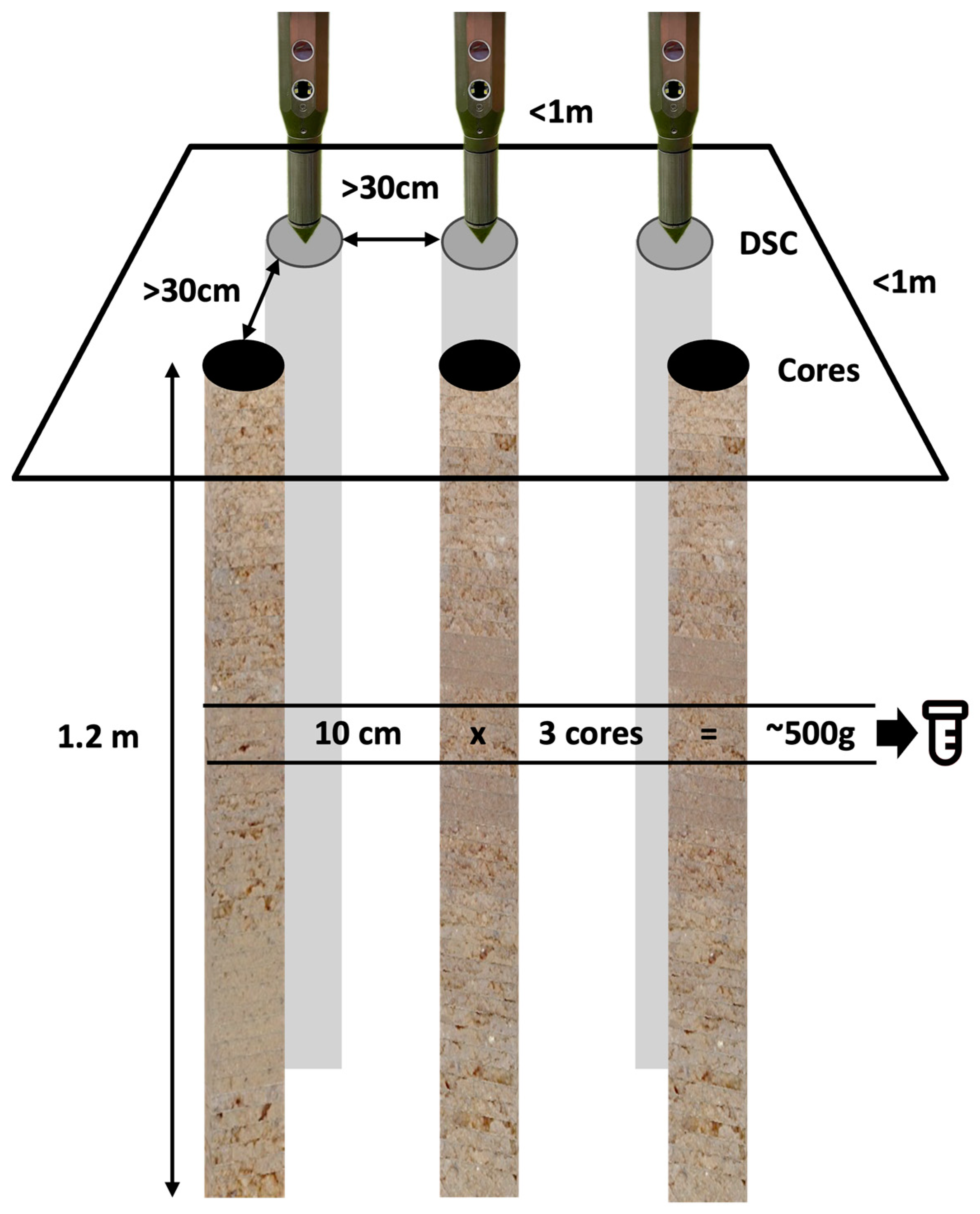 Sensors 24 06855 g007