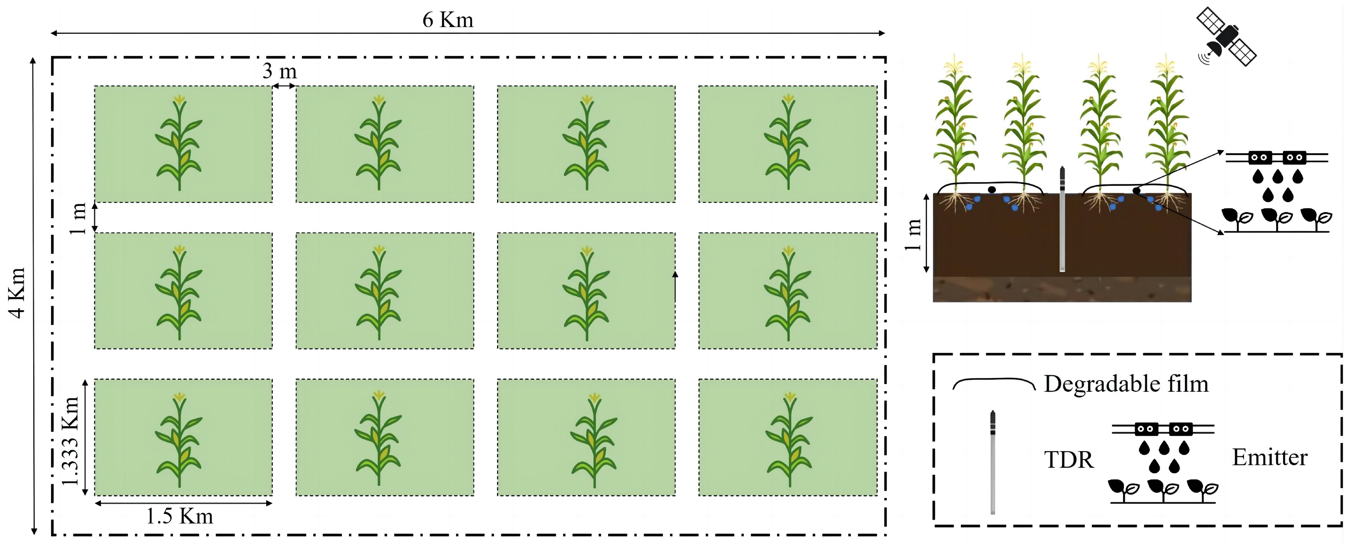 Sensors 24 06864 g003