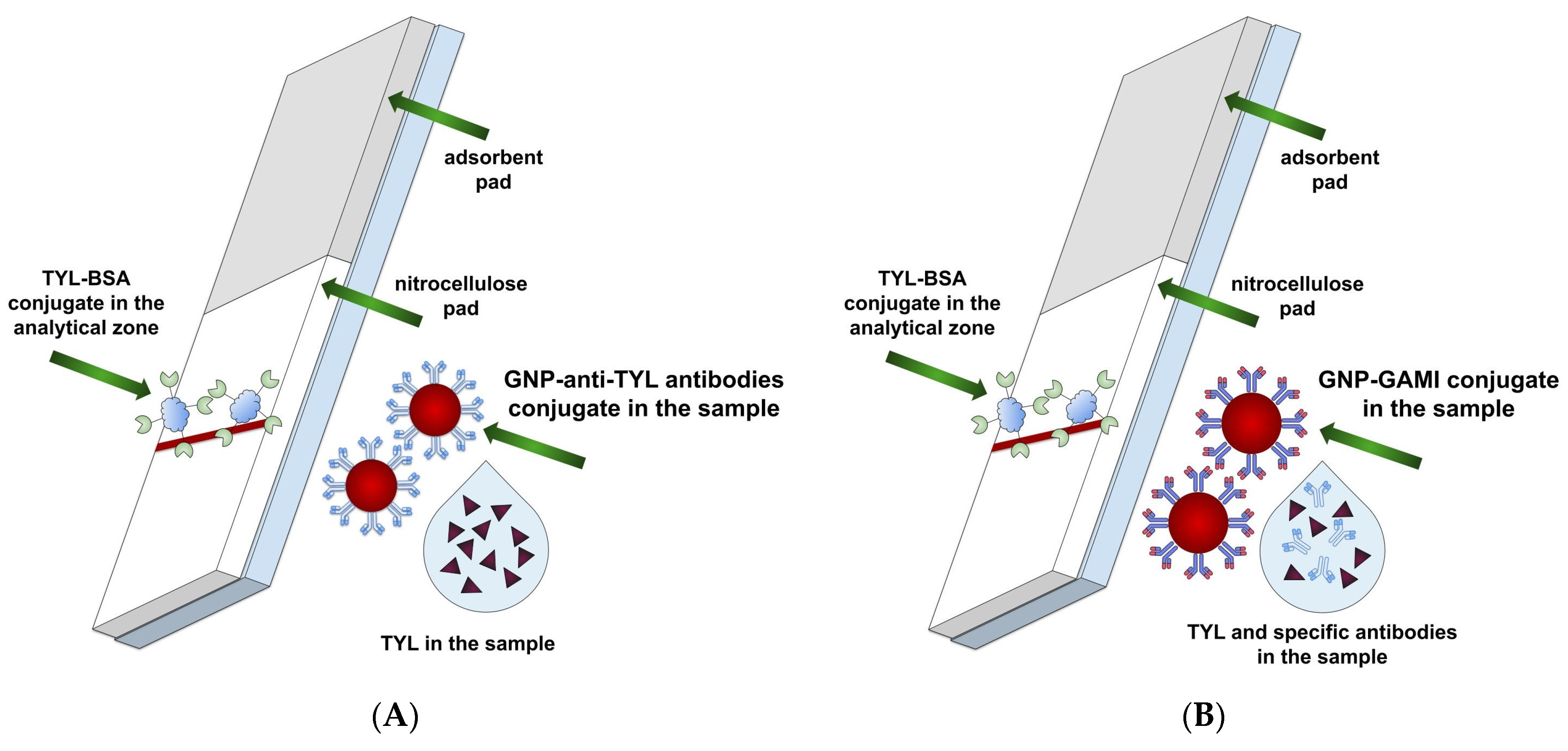 Sensors 24 06865 g001