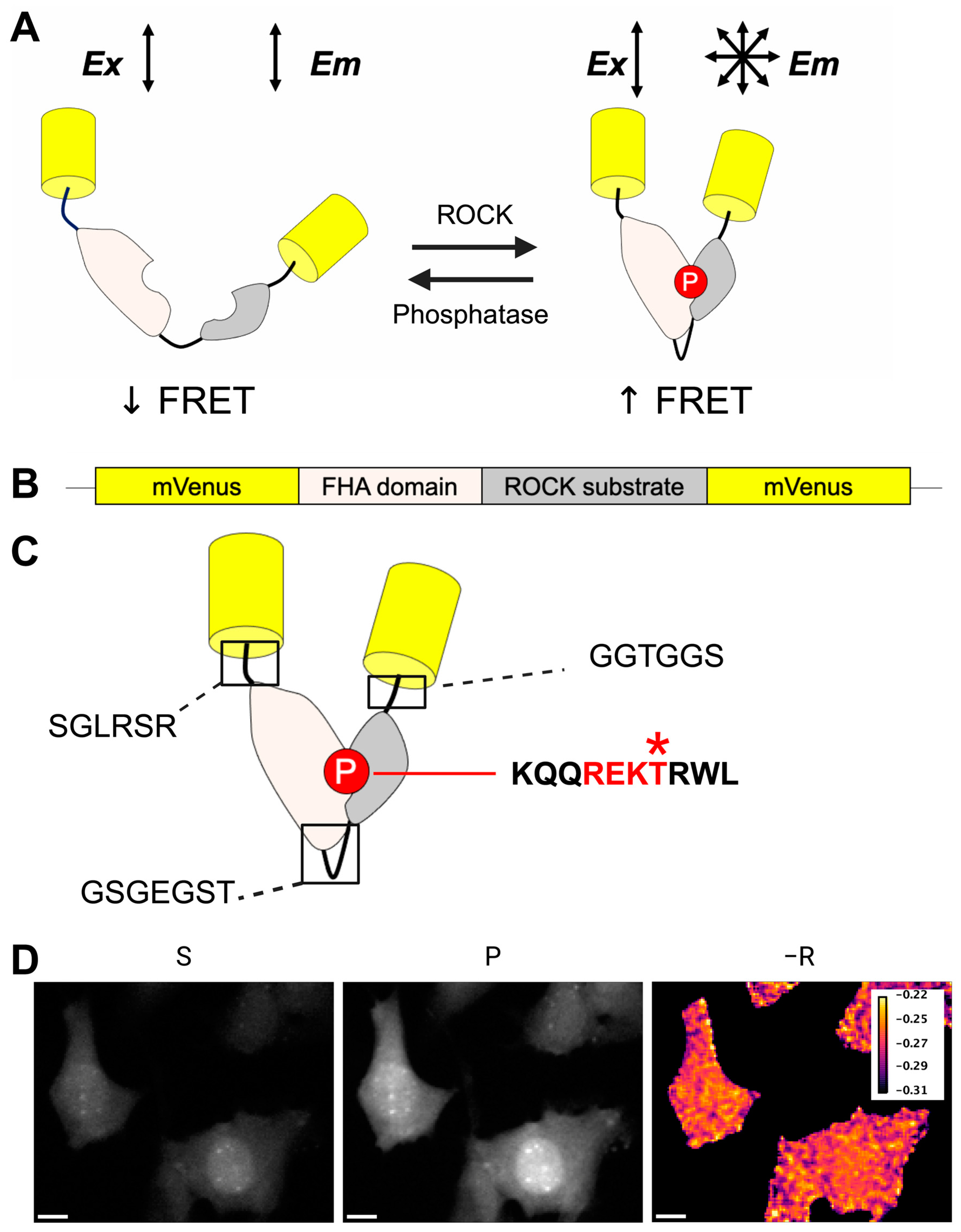 Sensors 24 06869 g002