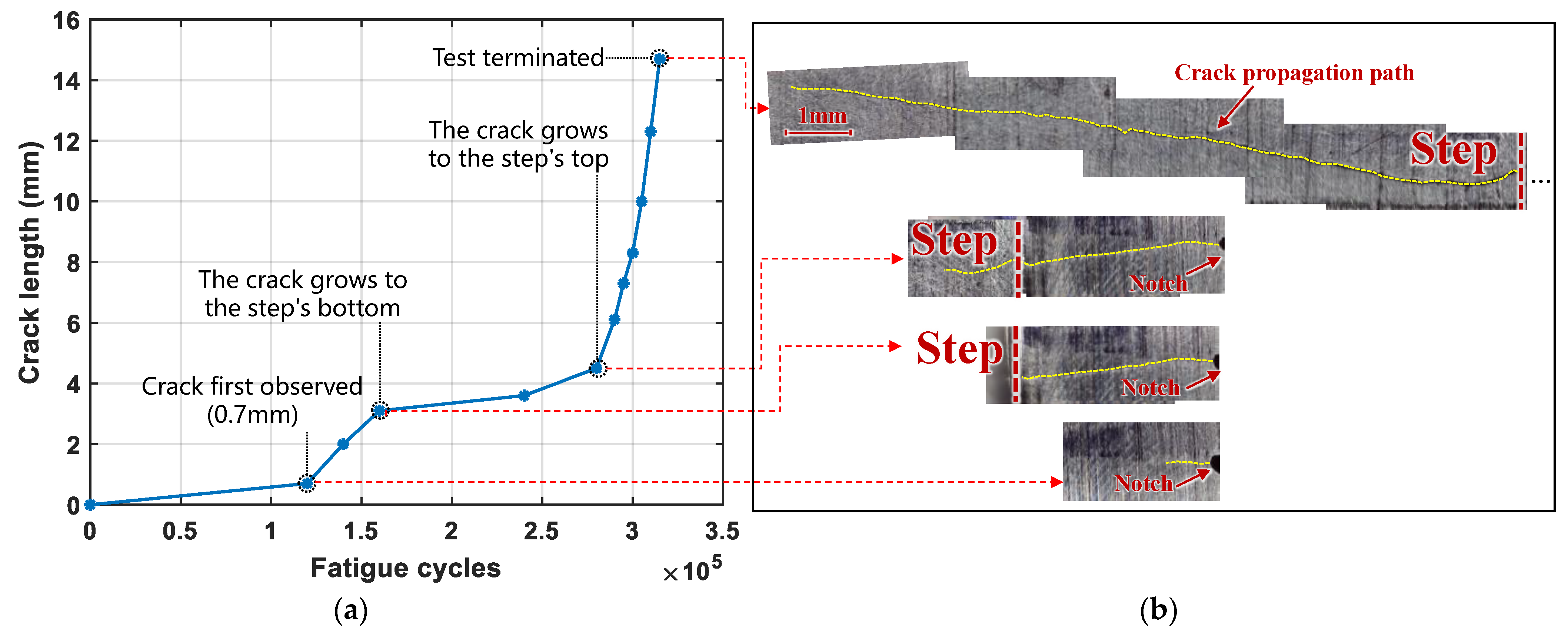 Sensors 24 06872 g007