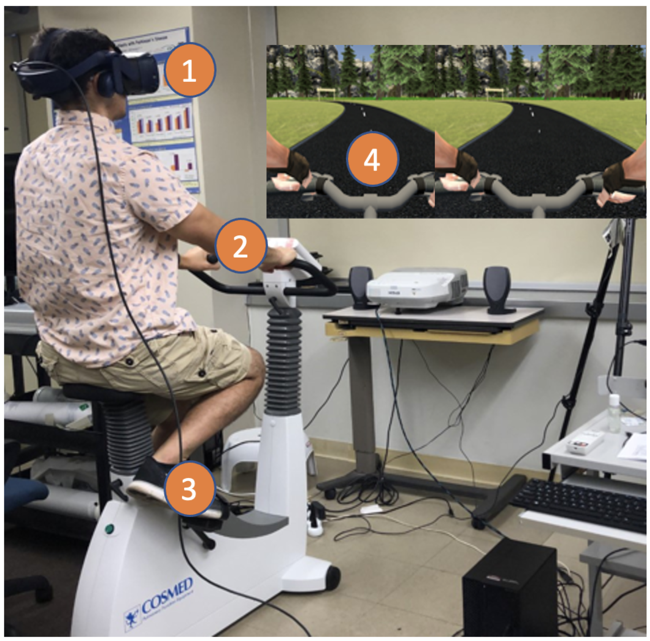 Sensors 24 06873 g001