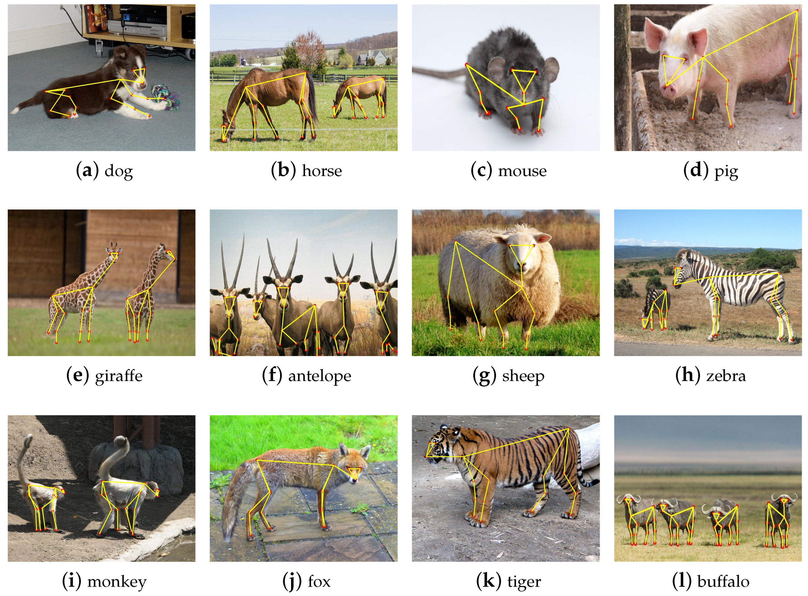 Sensors 24 06882 g007