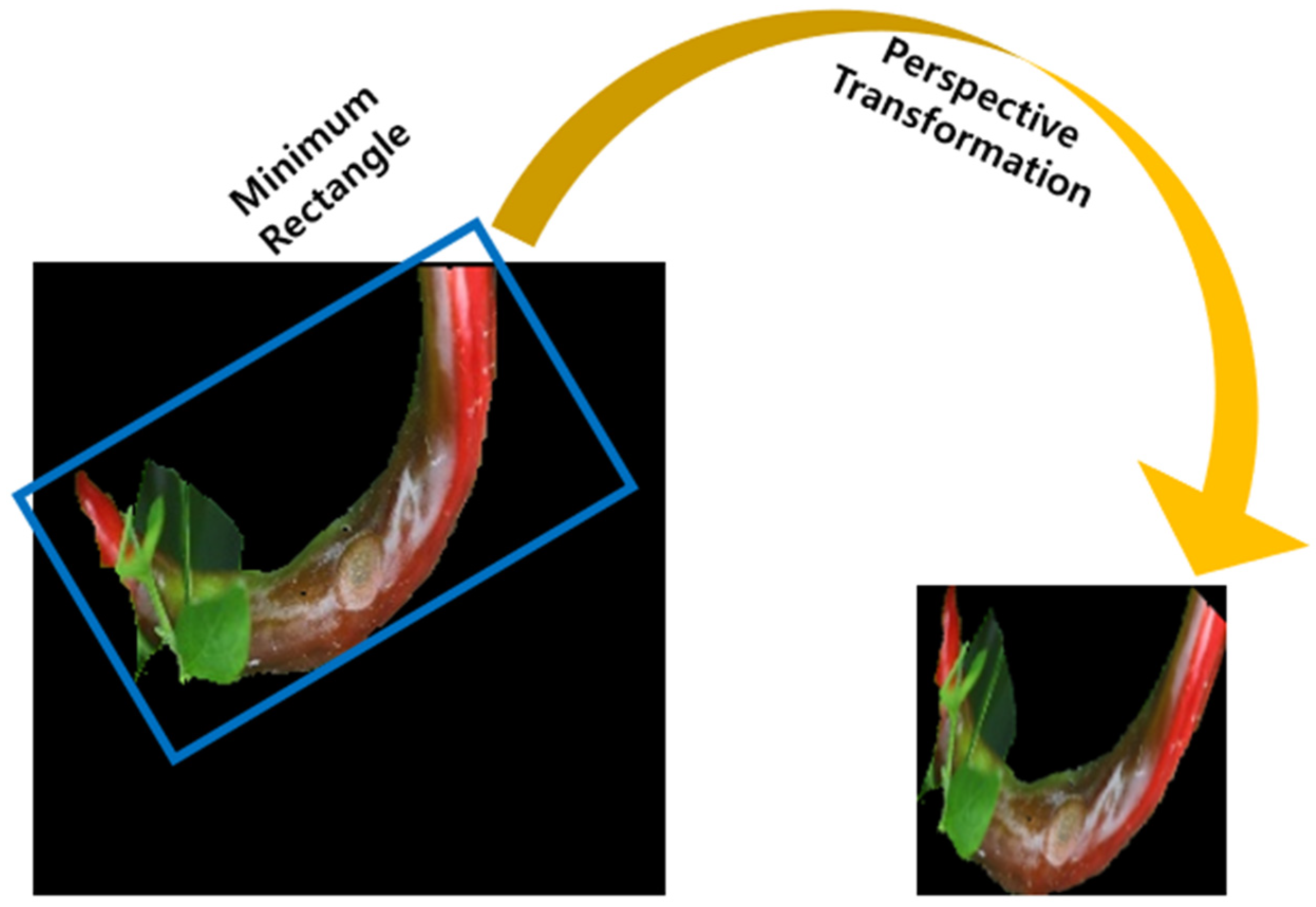 Sensors 24 06892 g002