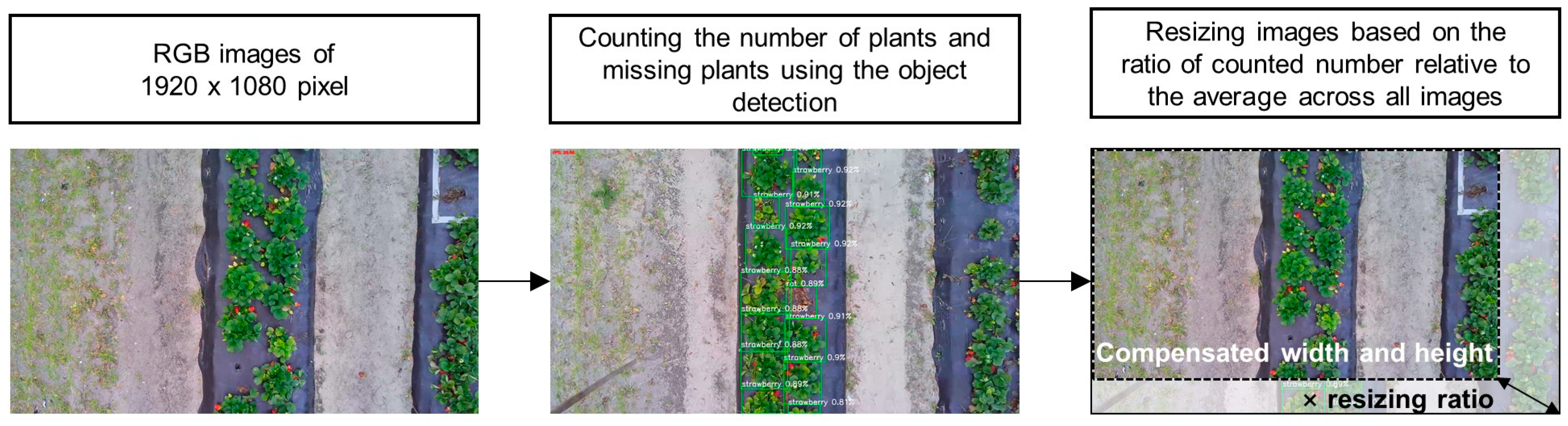 Sensors 24 06920 g002