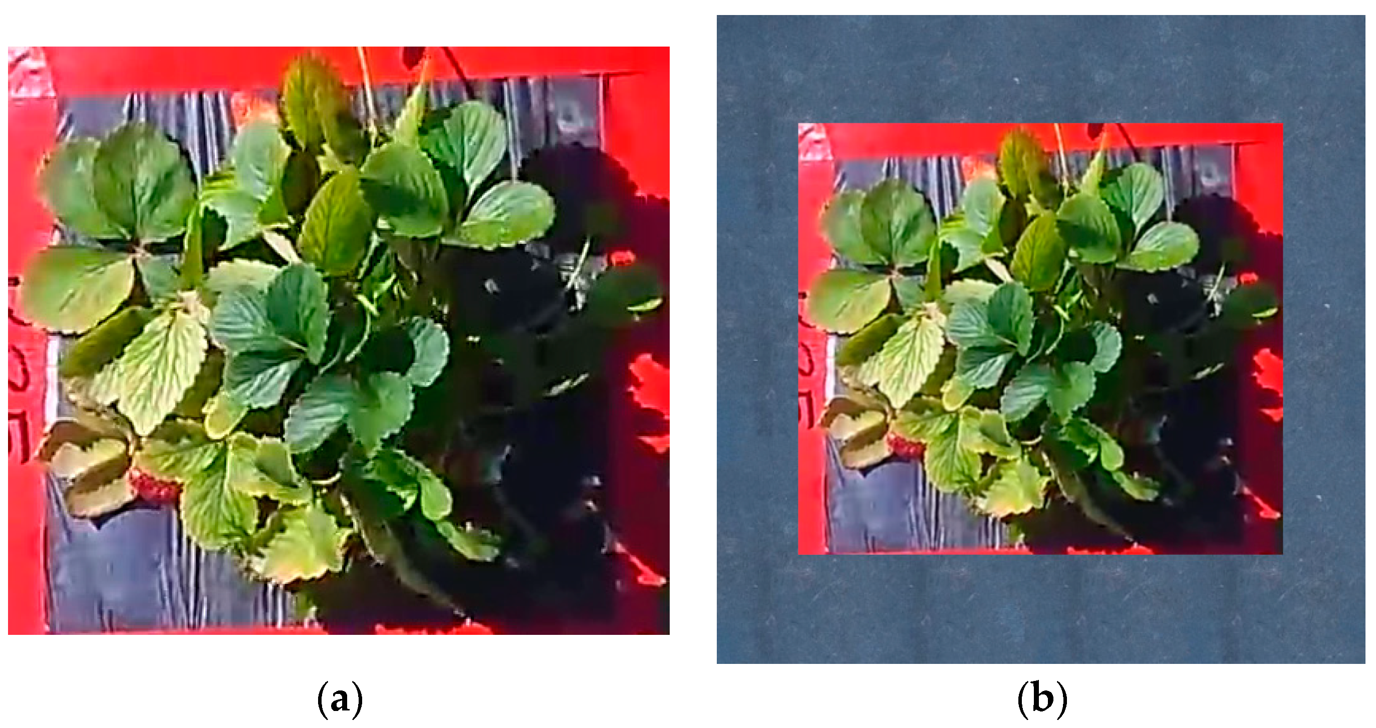 Sensors 24 06920 g003