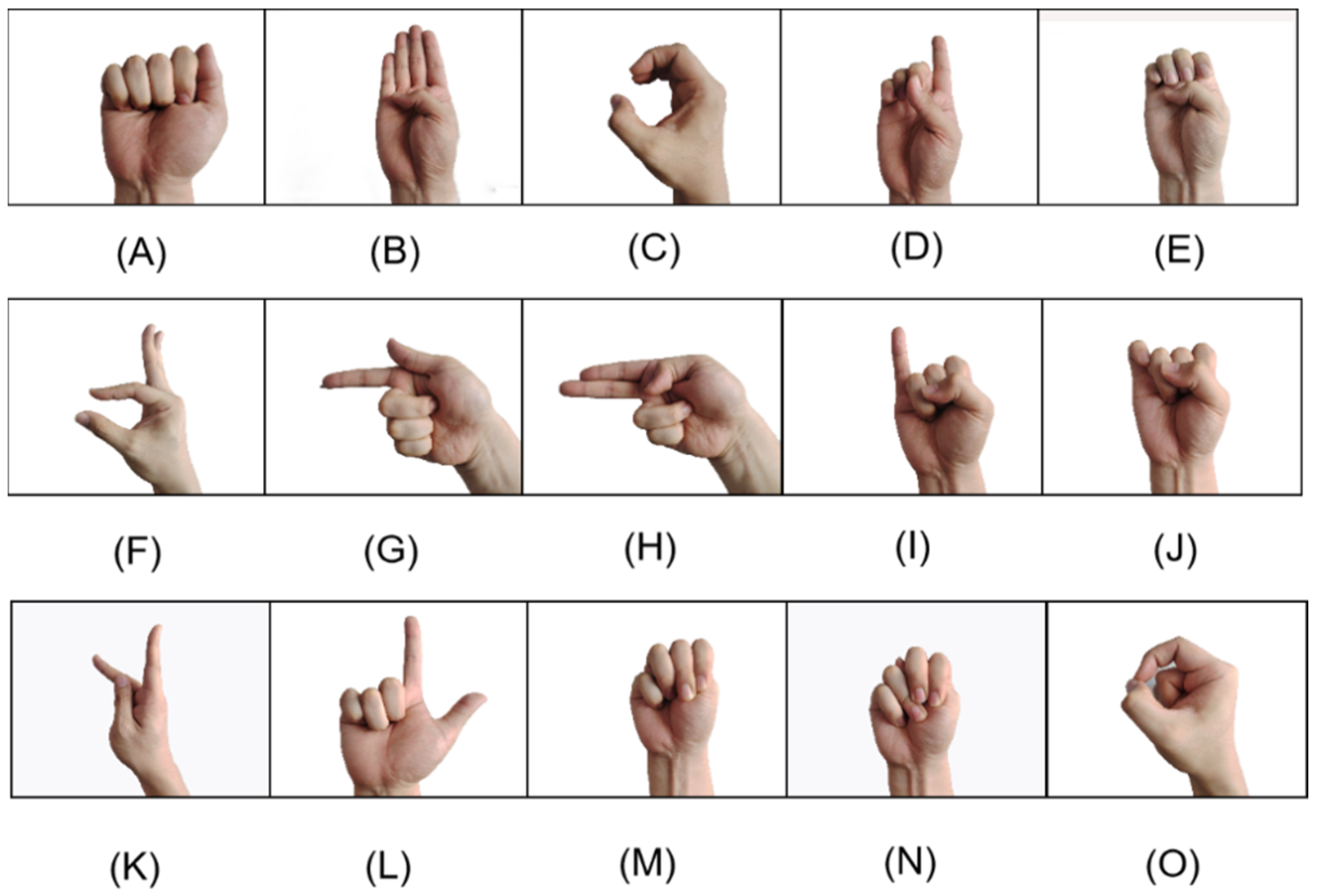Sensors 24 06921 g003a