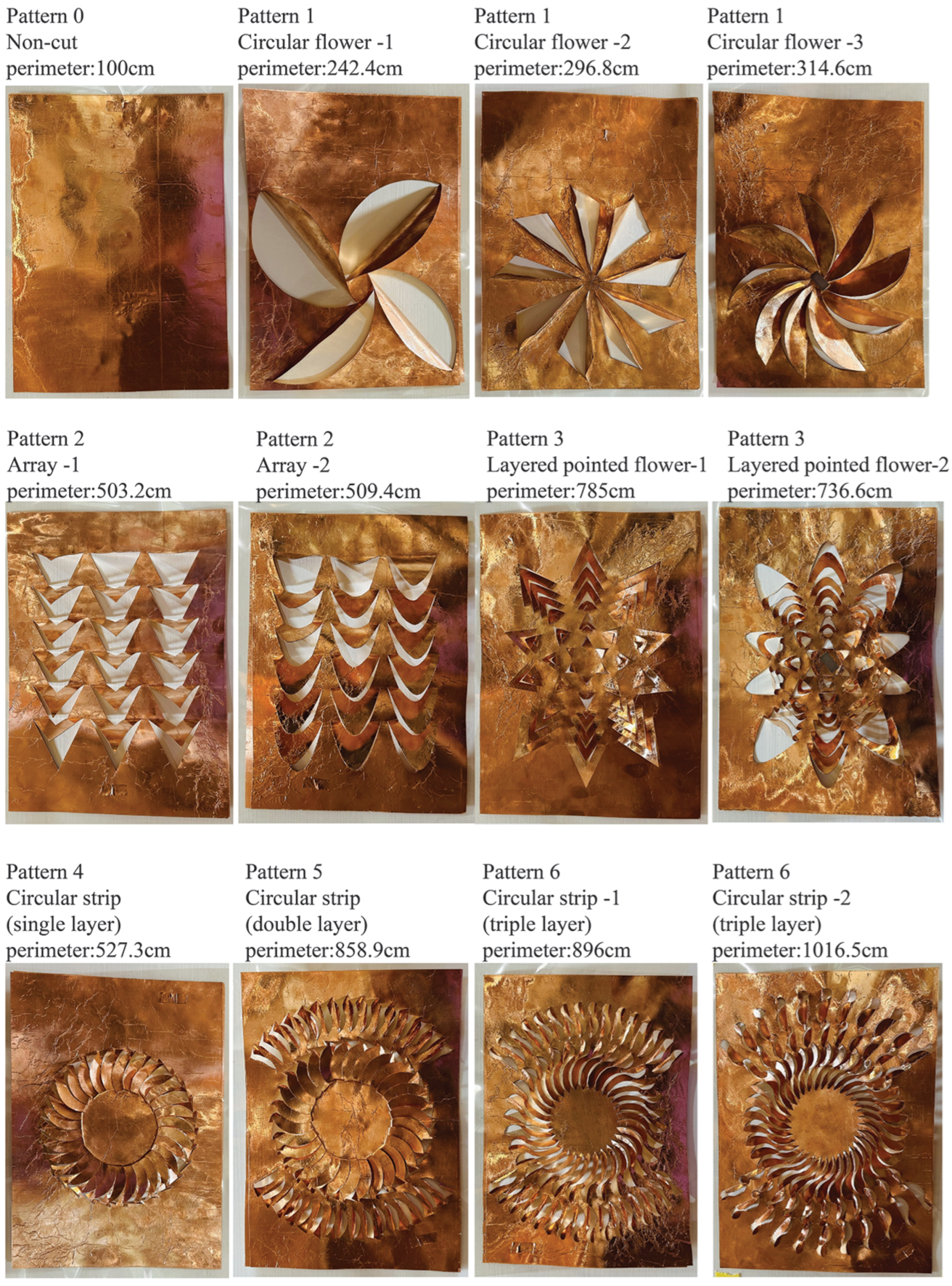 Sensors 24 06930 g001