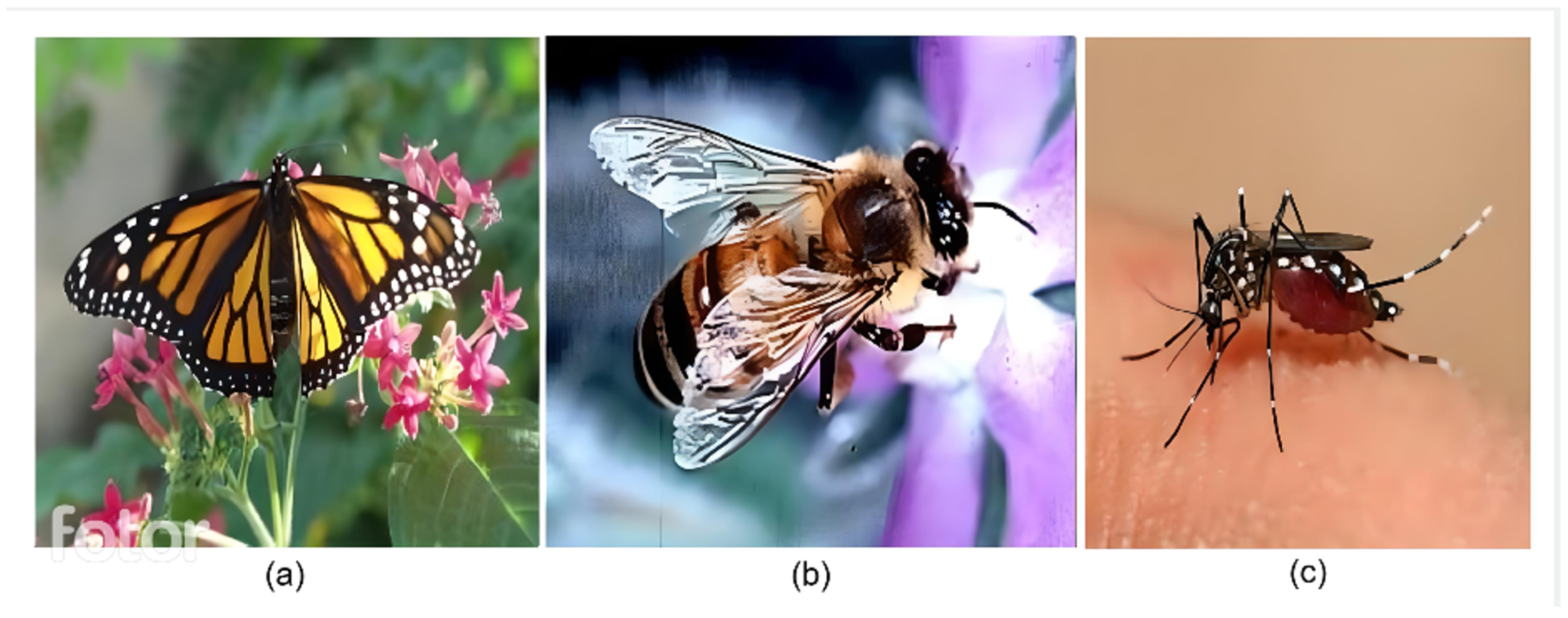 Sensors 24 06932 g006