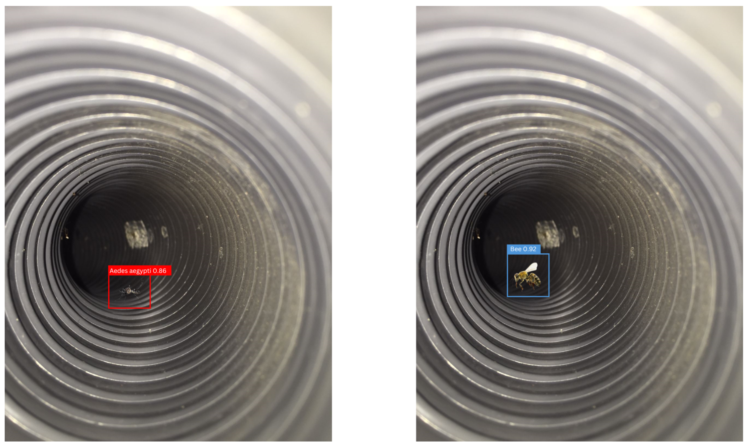 Sensors 24 06932 g007