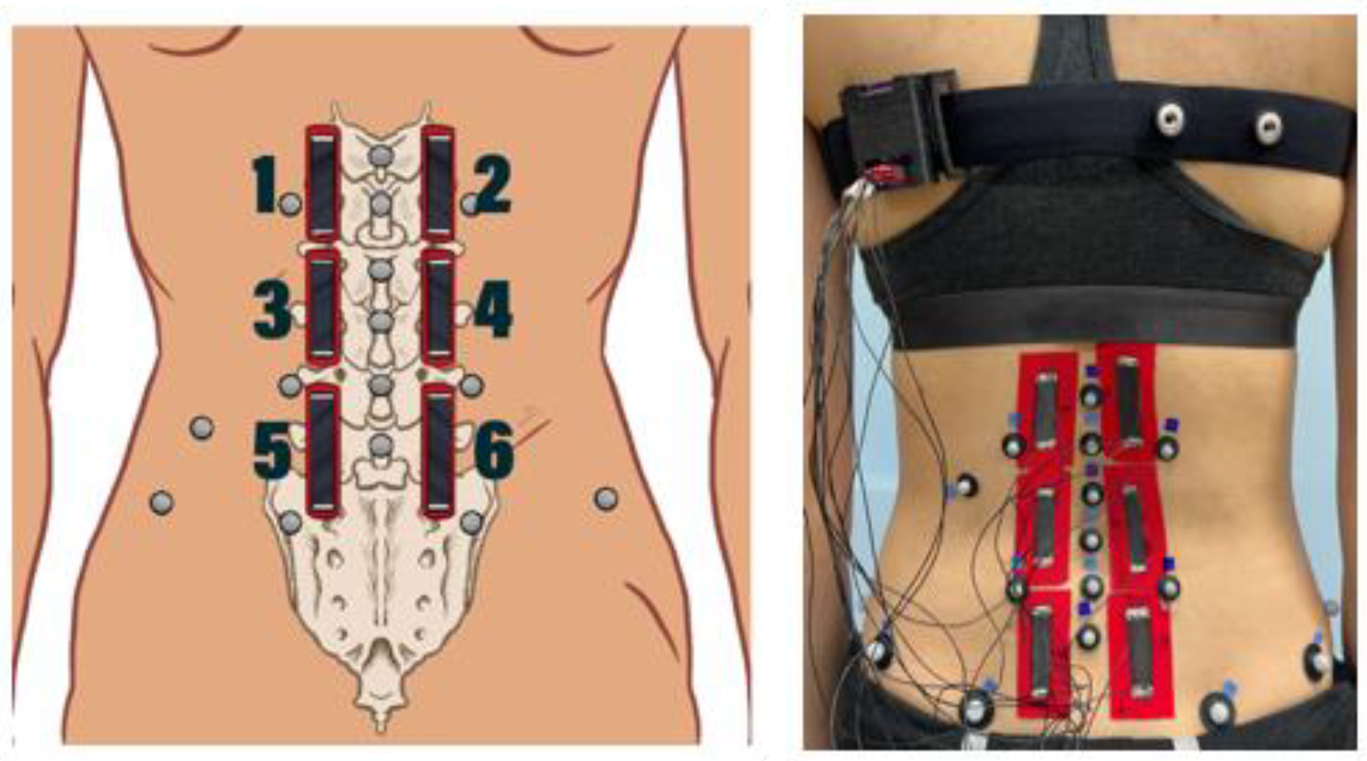 Sensors 24 06933 g001