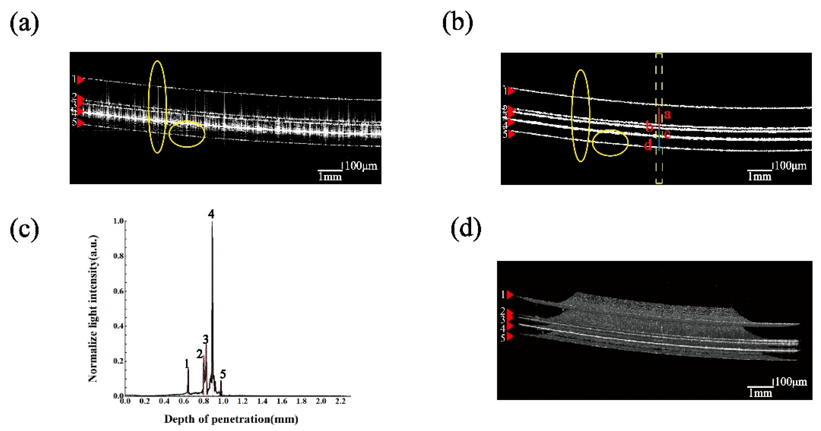 Sensors 24 06953 g011