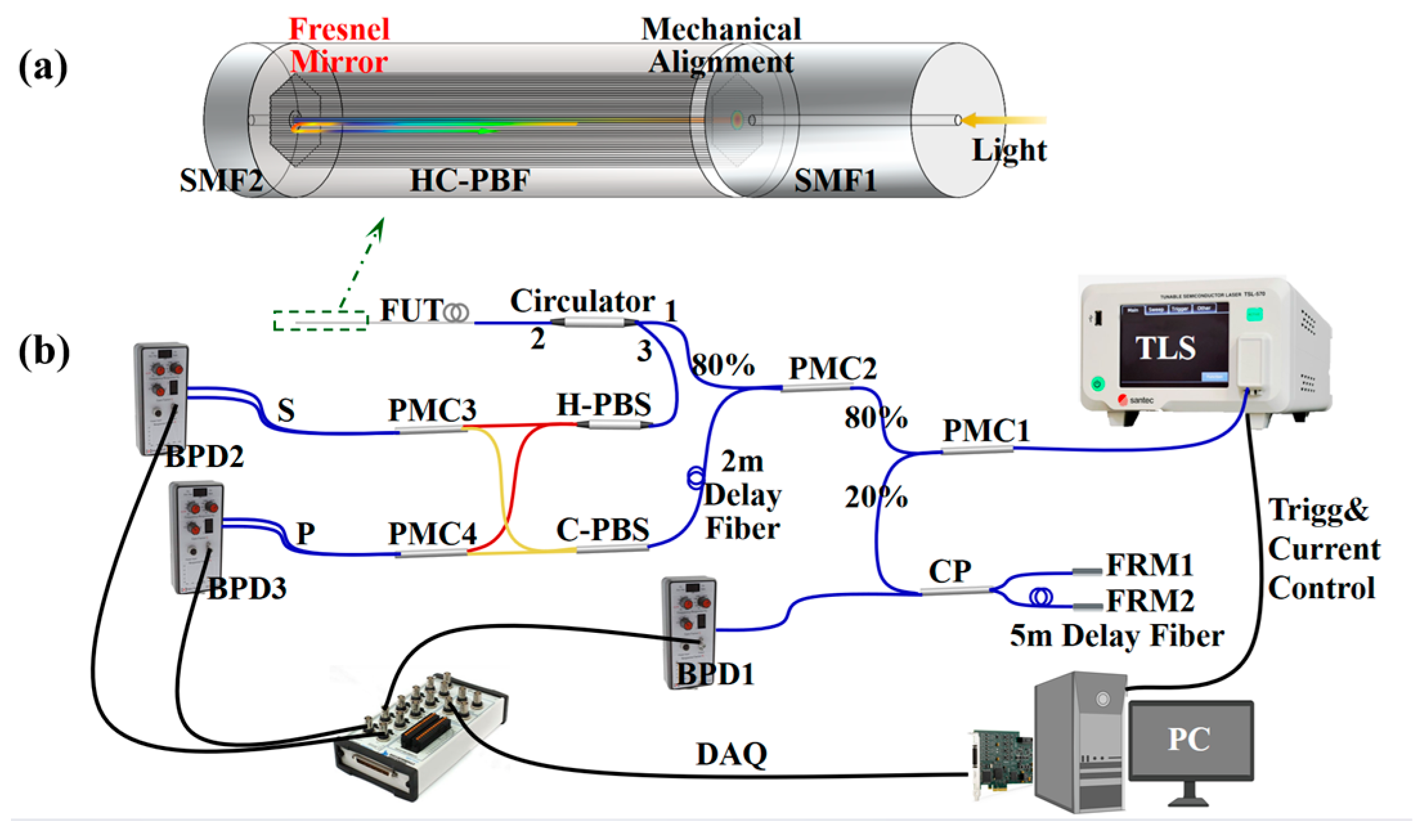 Sensors 24 06954 g001