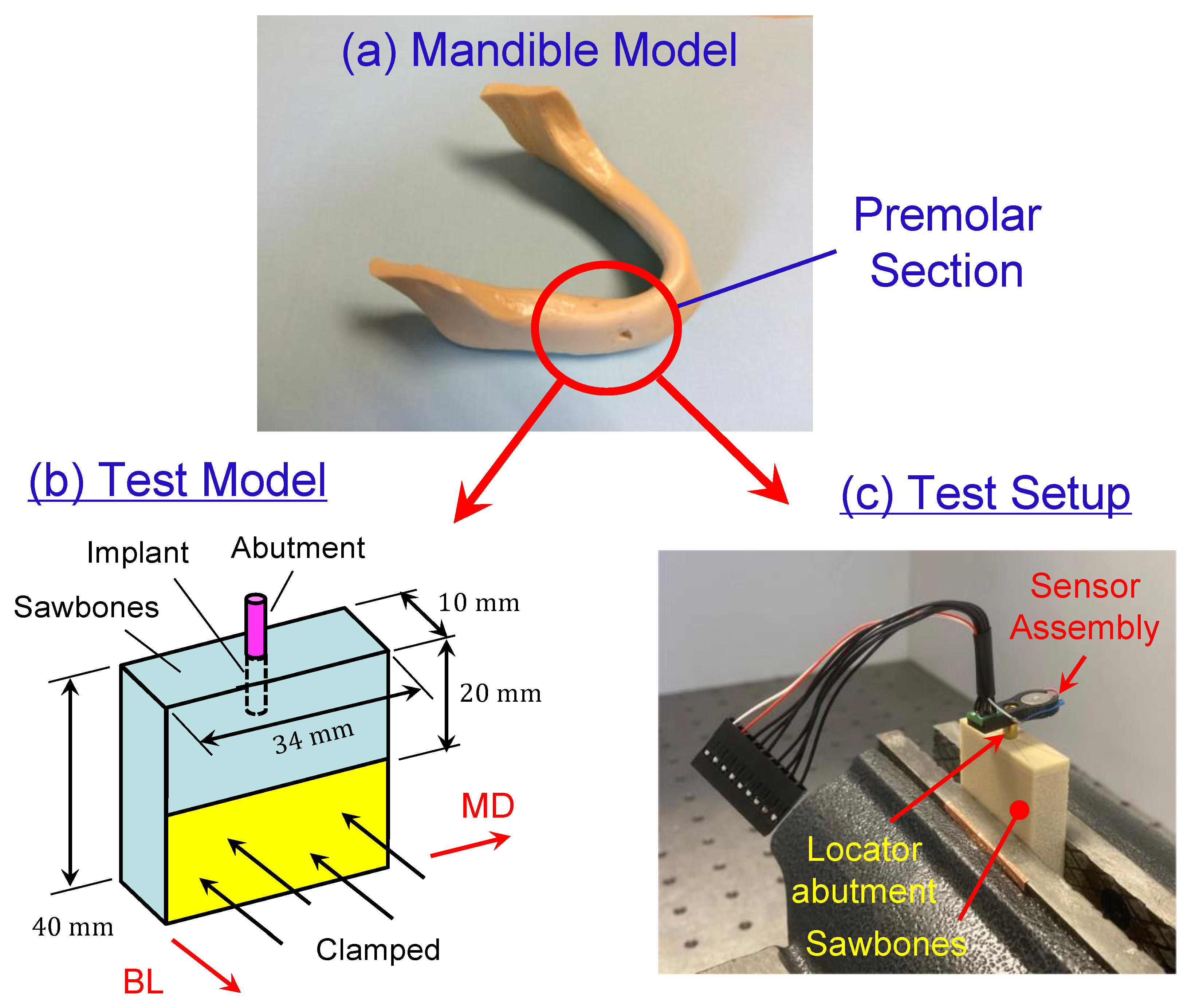 Sensors 24 06959 g001