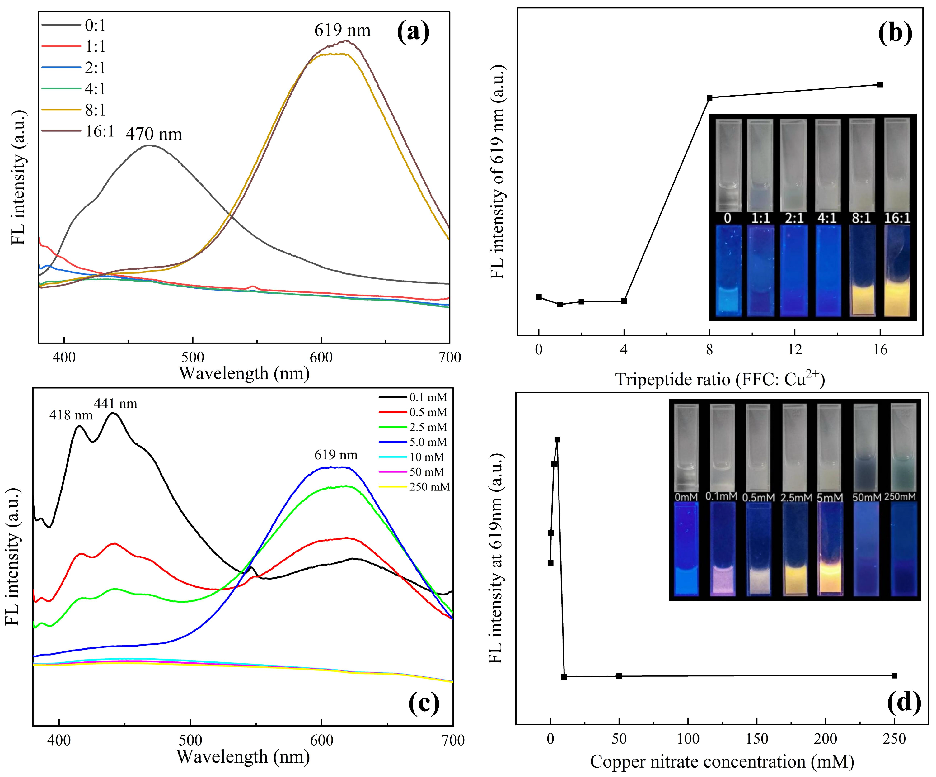 Sensors 24 06974 g002