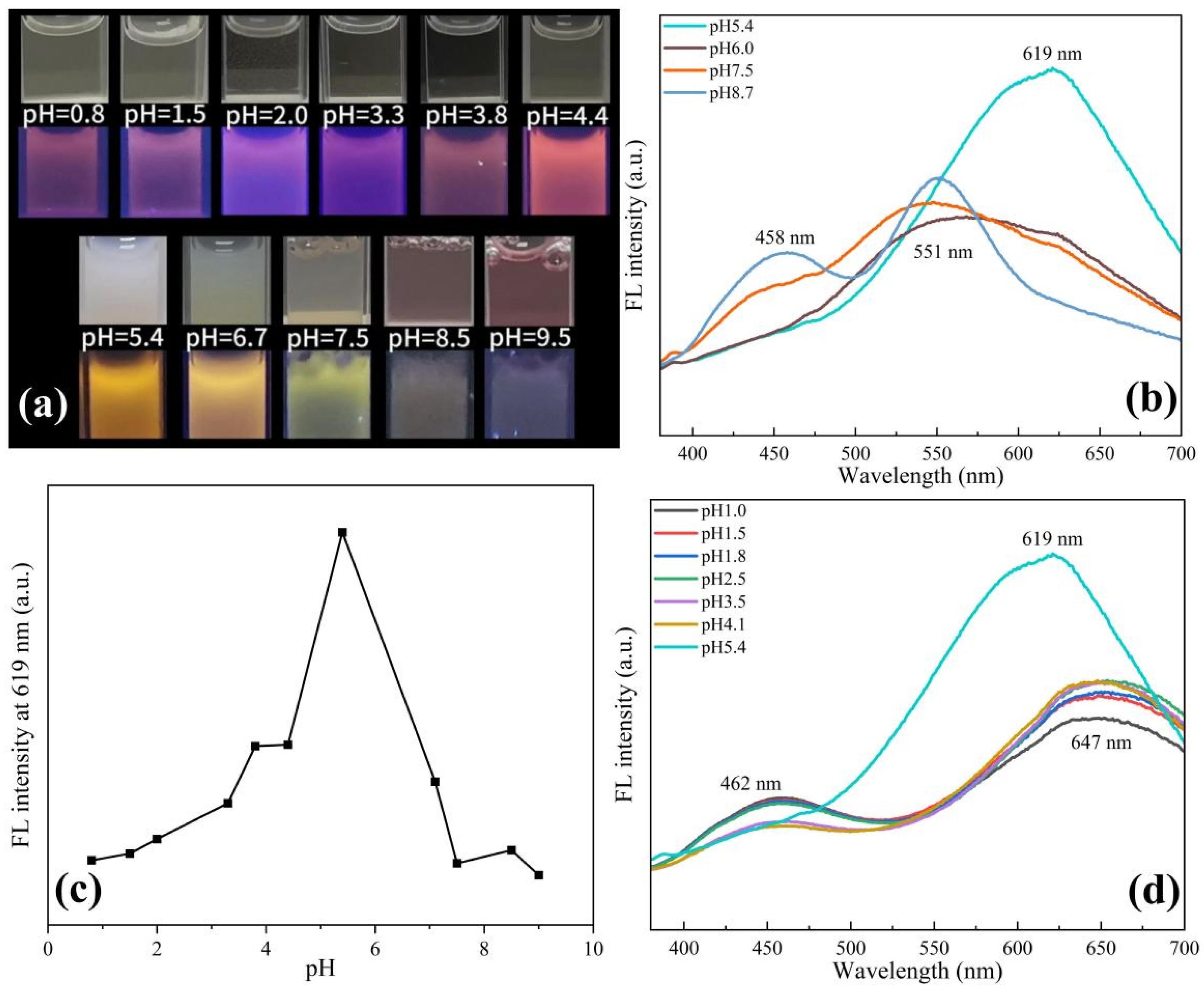 Sensors 24 06974 g003