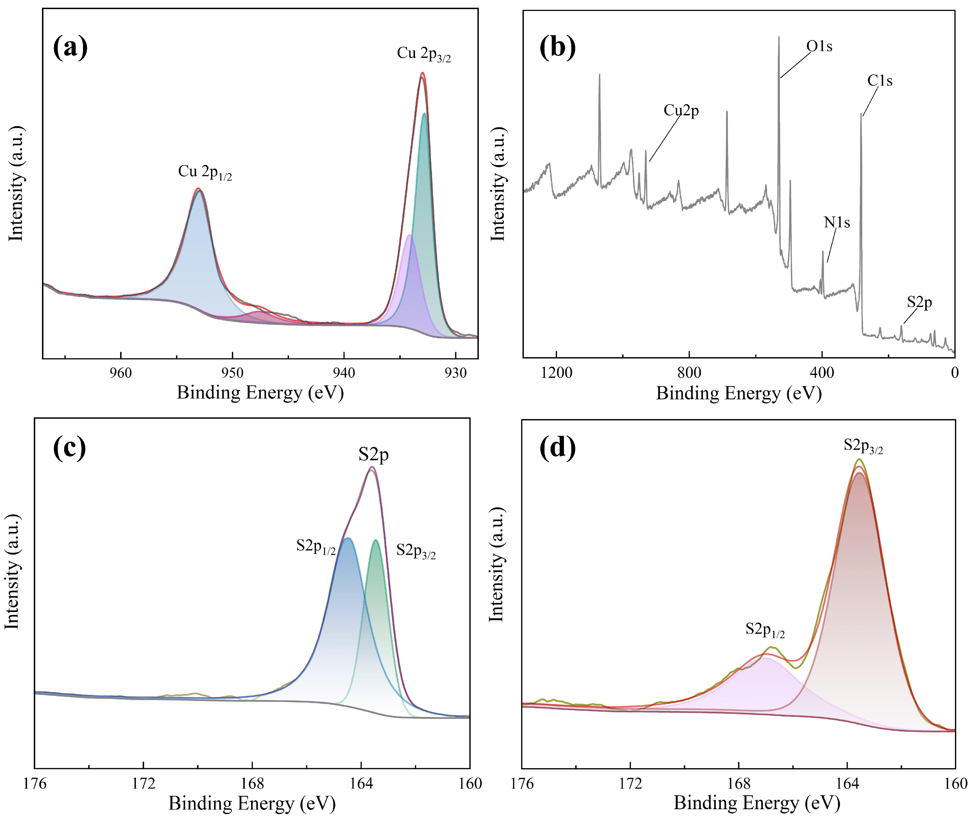 Sensors 24 06974 g005