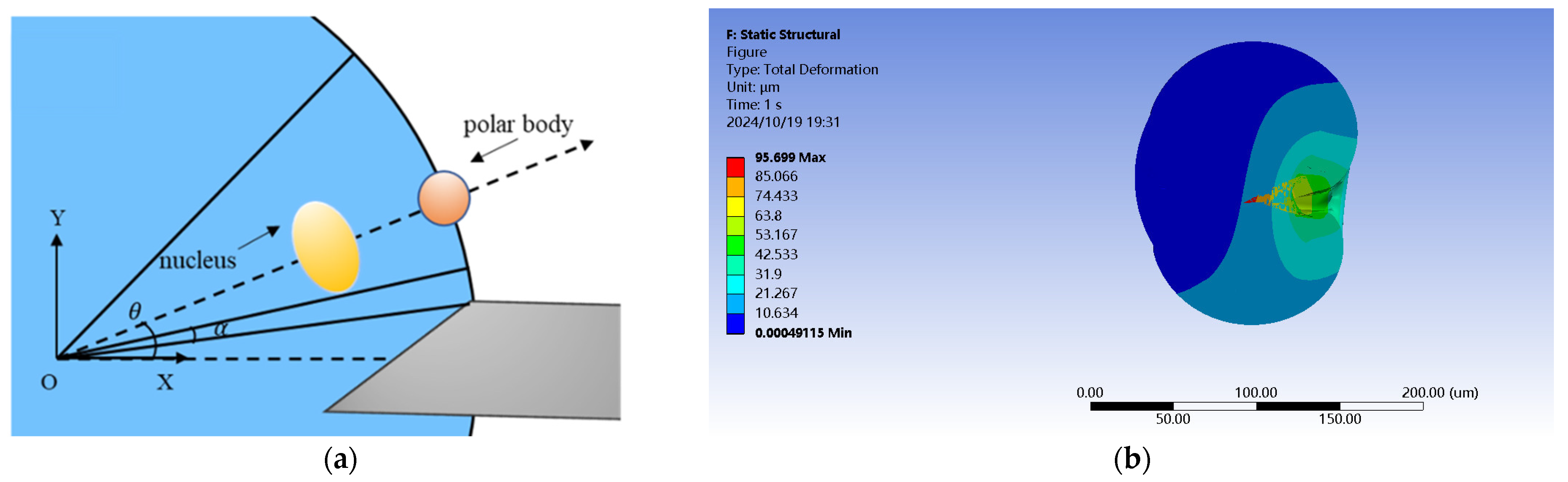 Sensors 24 06988 g005