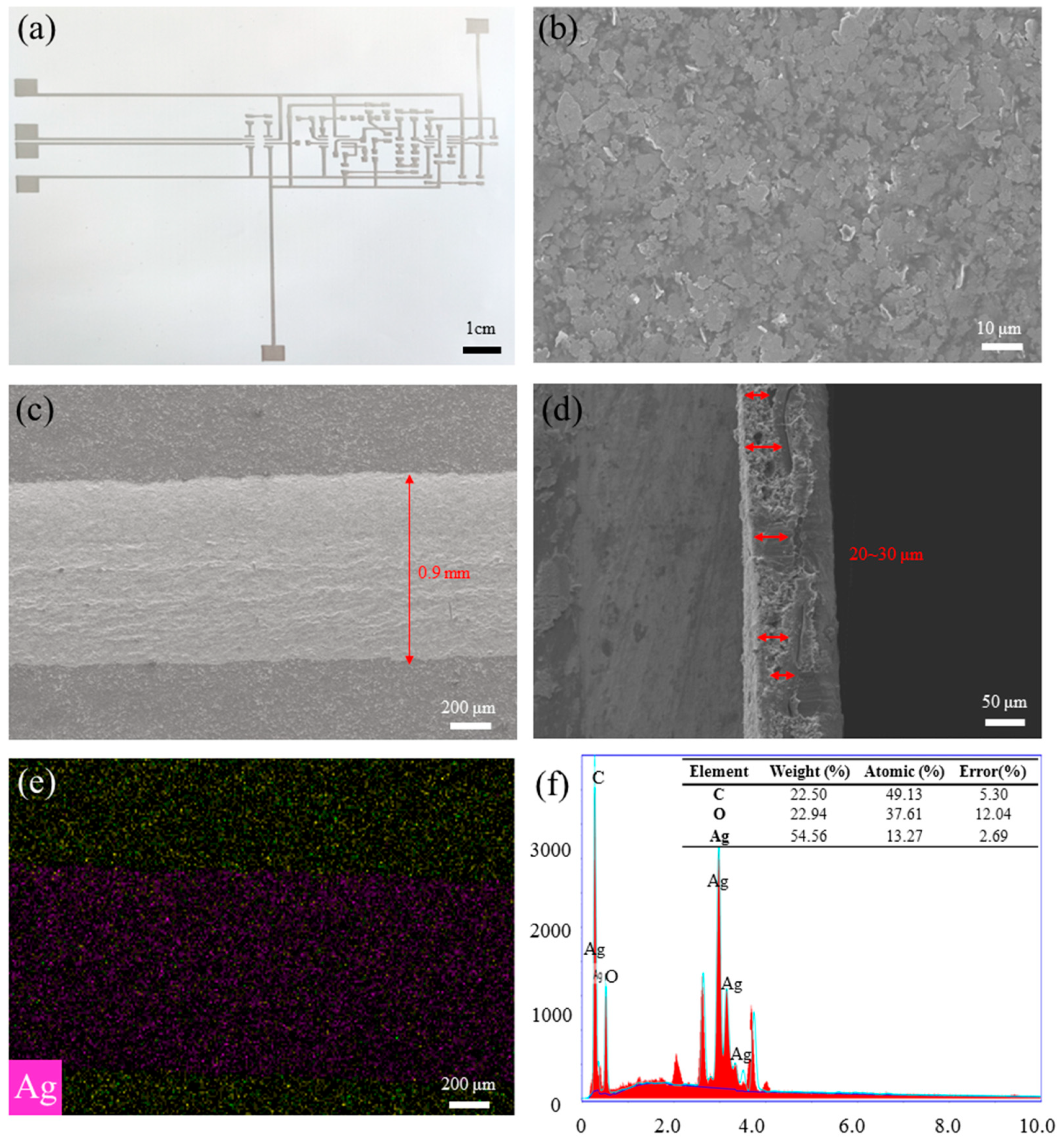 Sensors 24 06991 g004
