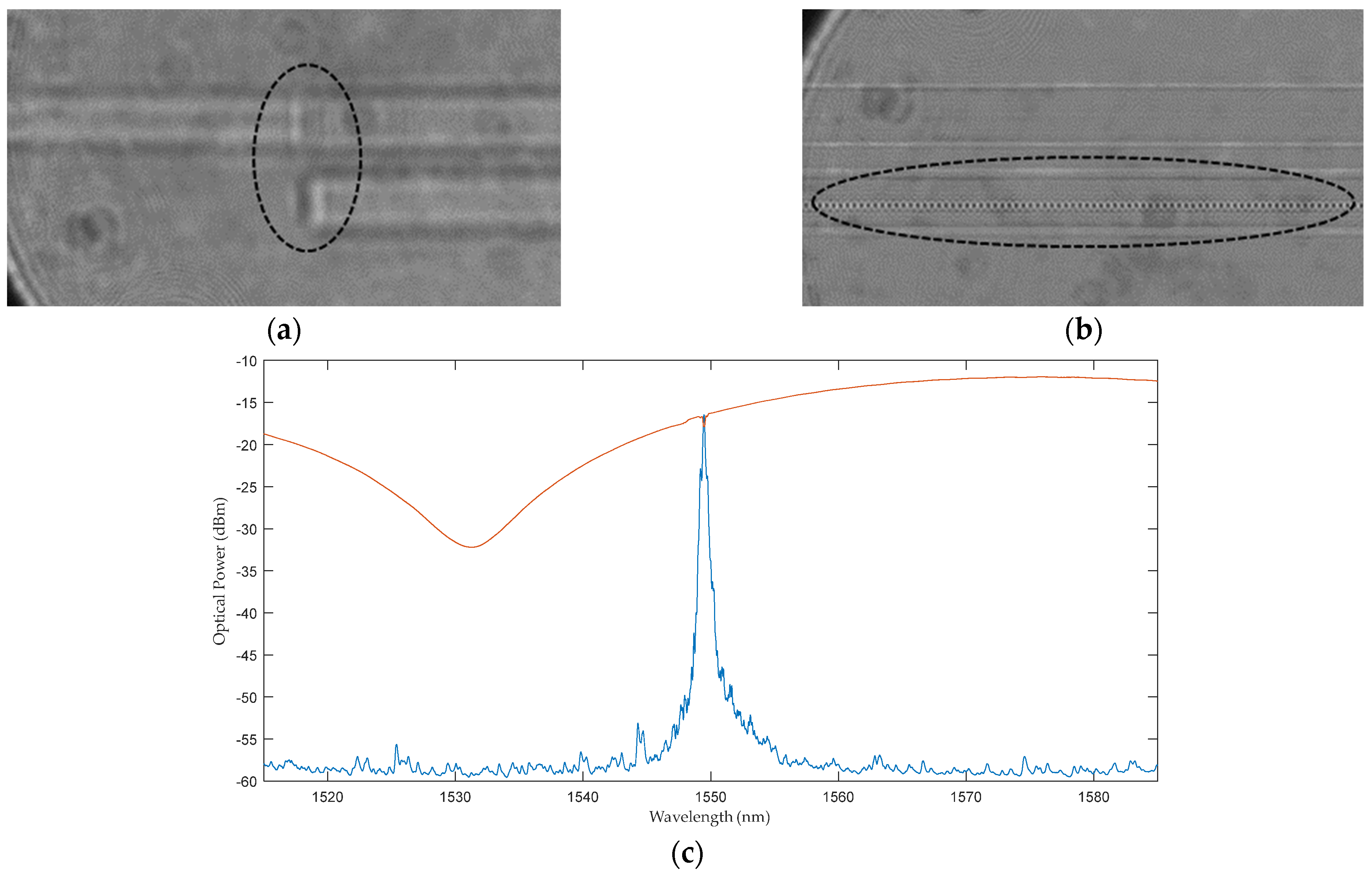 Sensors 24 06999 g007