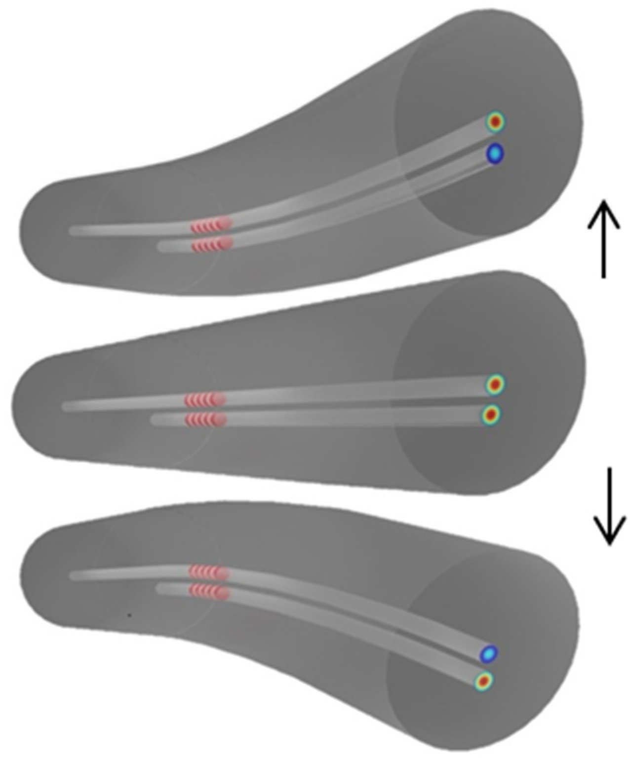 Sensors 24 06999 g008