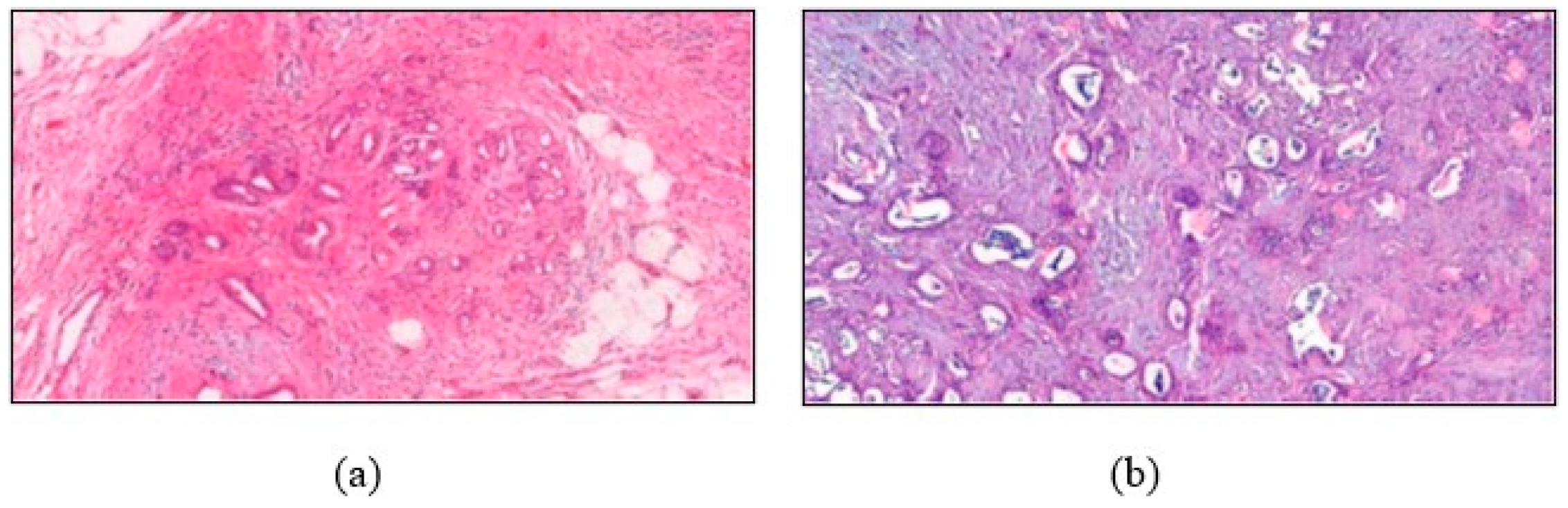 Sensors 24 07005 g001