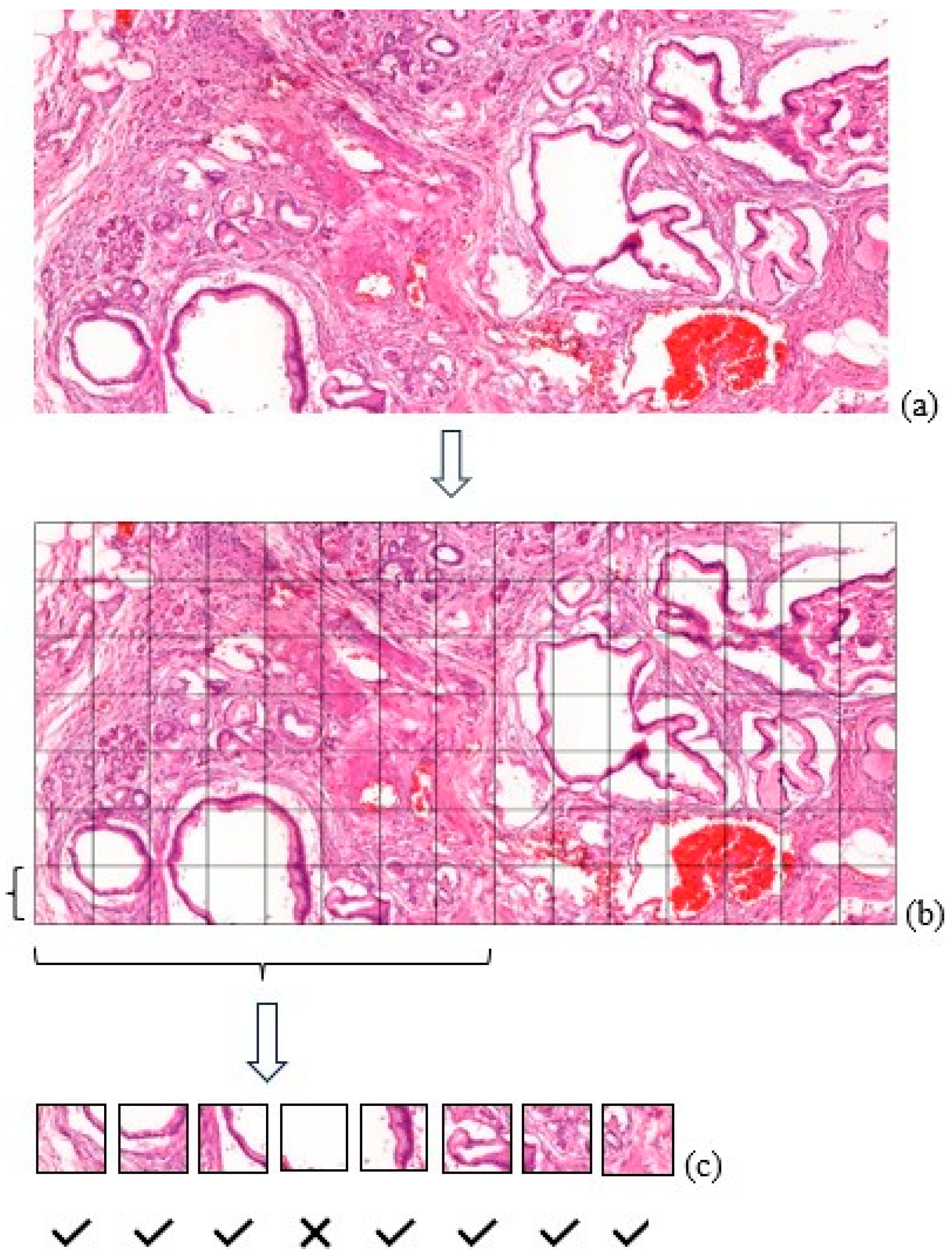 Sensors 24 07005 g002