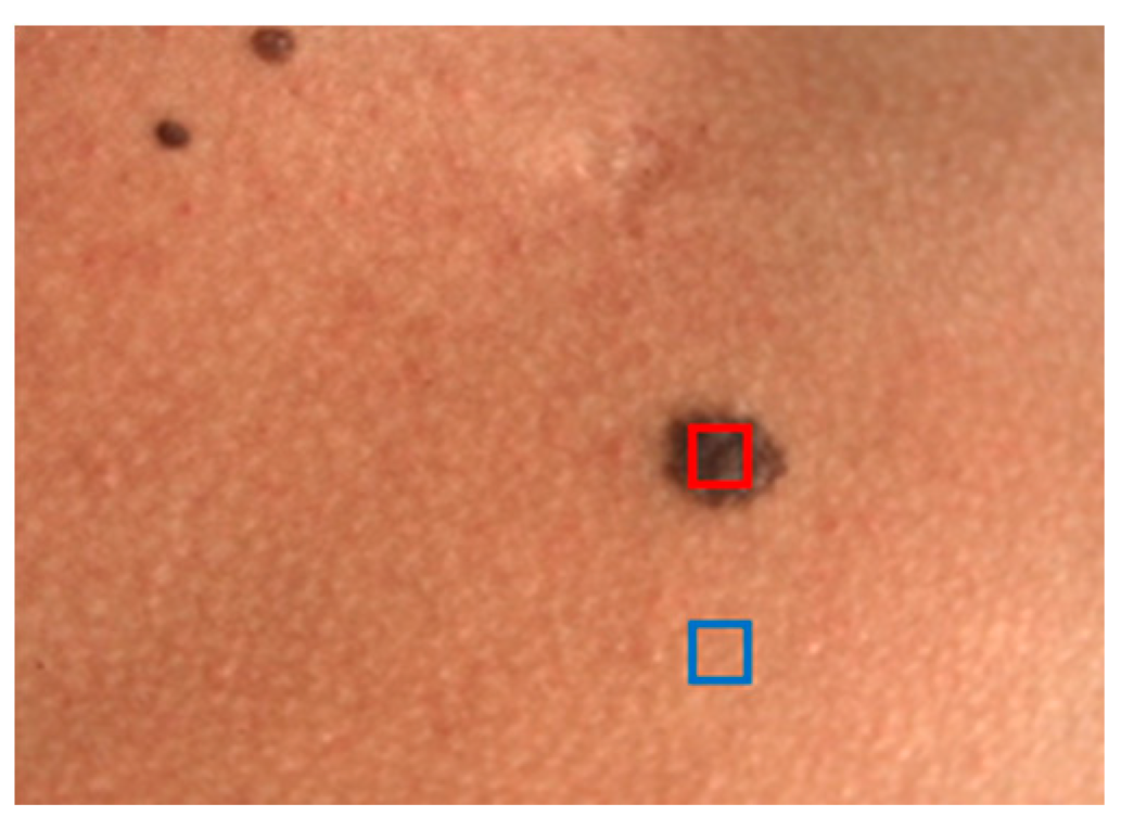 Sensors 24 07010 g004