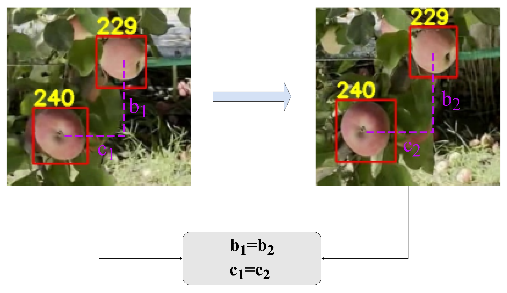 Sensors 24 07012 g009