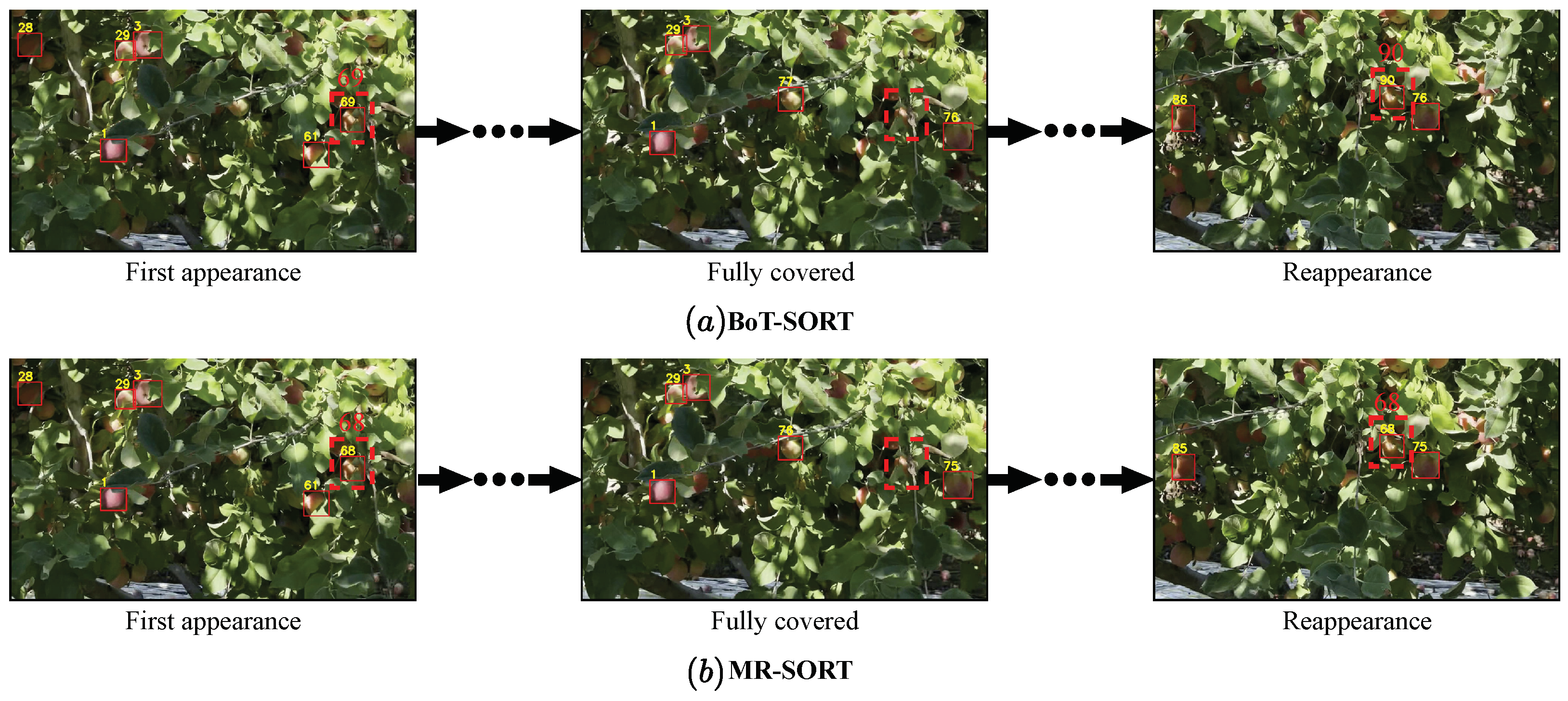 Sensors 24 07012 g011