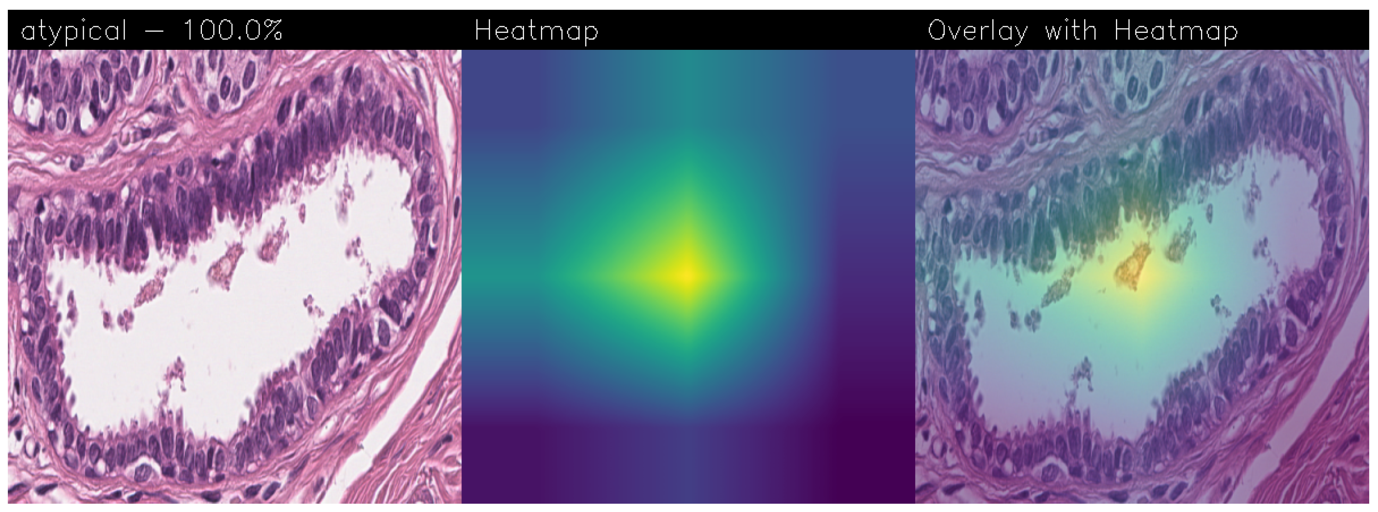 Sensors 24 07022 g010a