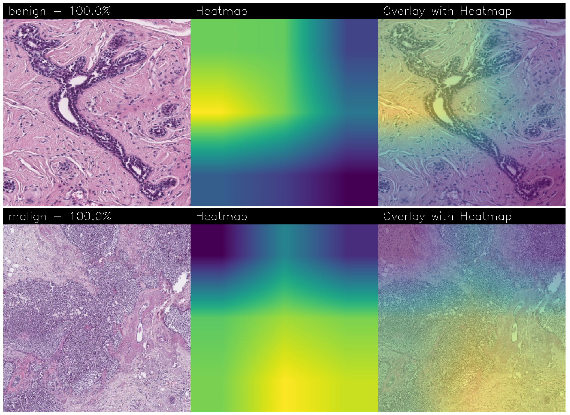 Sensors 24 07022 g010b