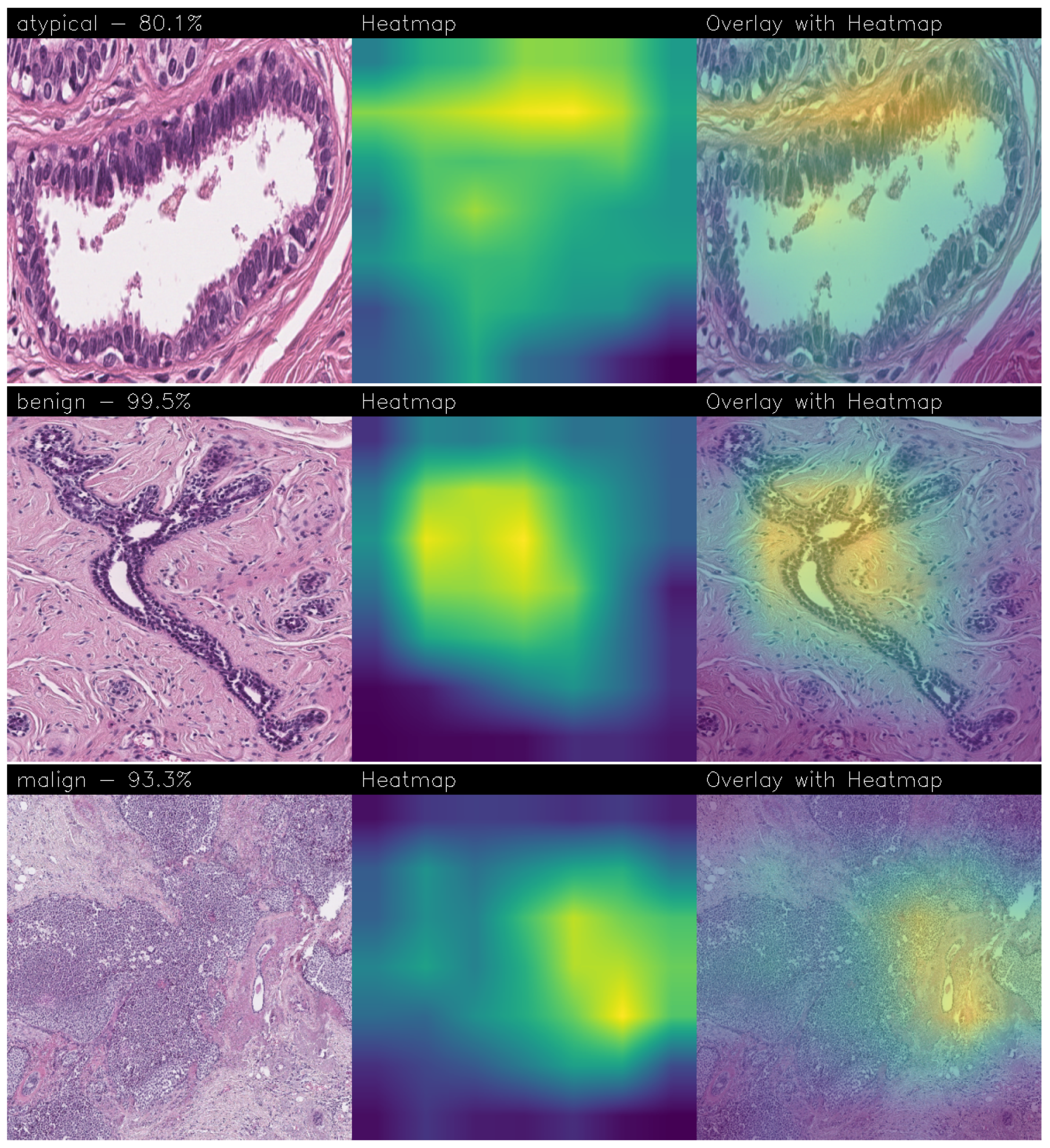 Sensors 24 07022 g012