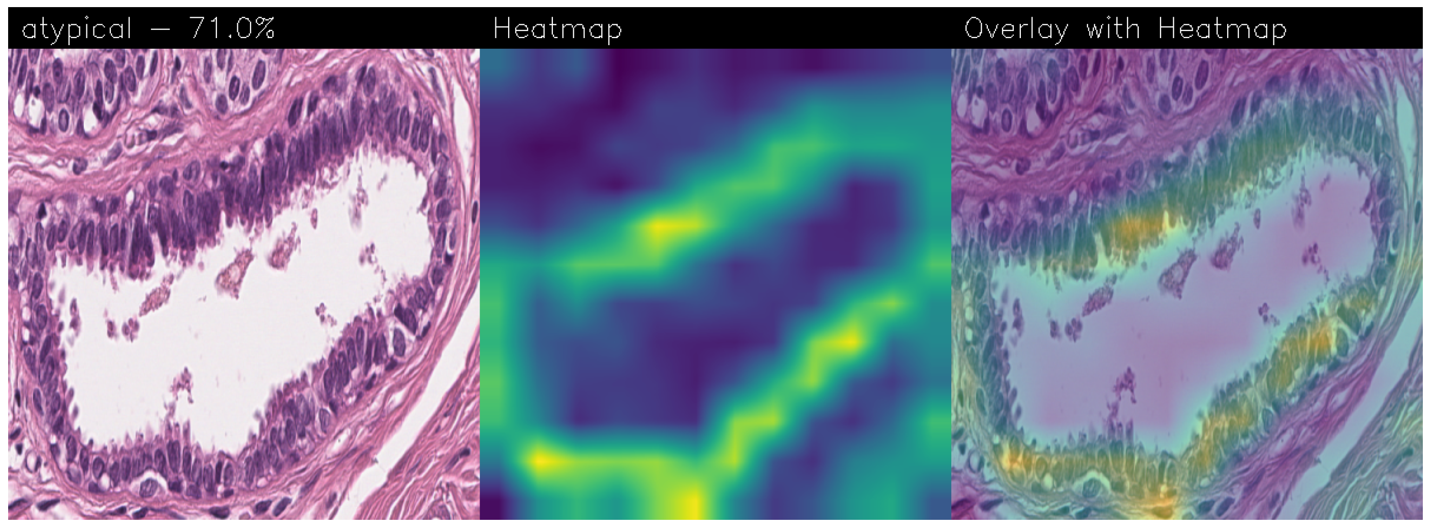 Sensors 24 07022 g014