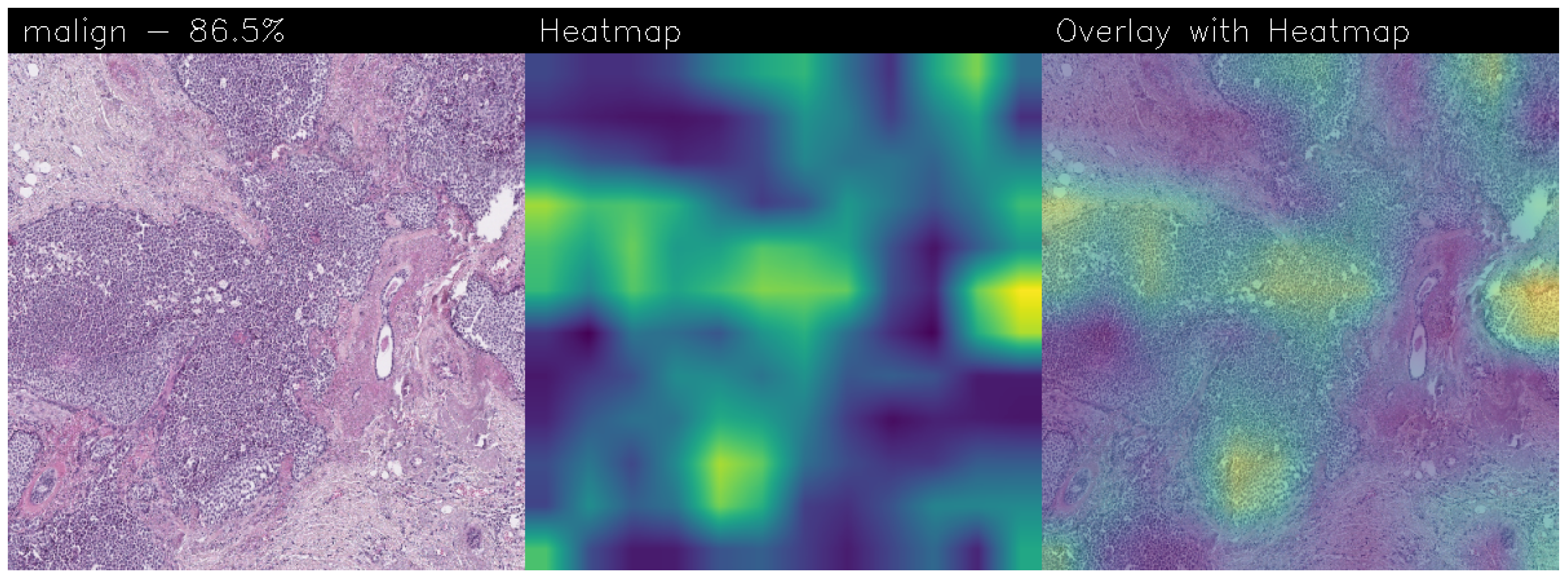 Sensors 24 07022 g016