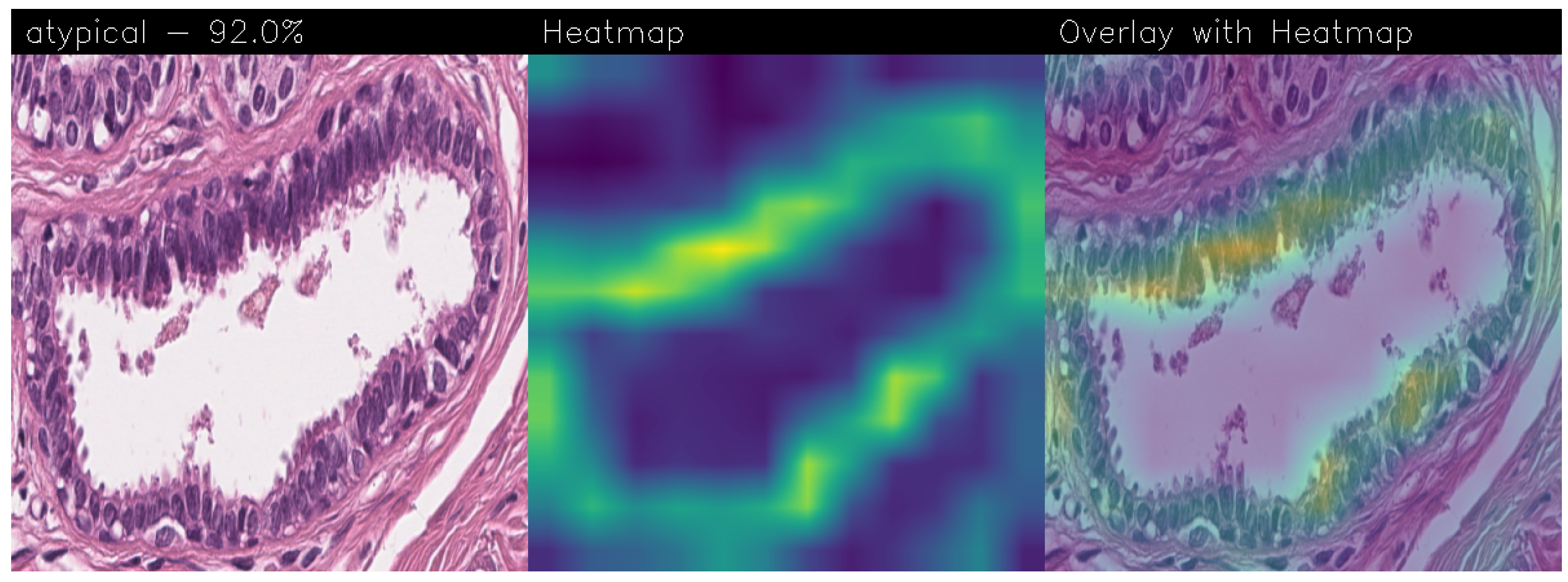 Sensors 24 07022 g017