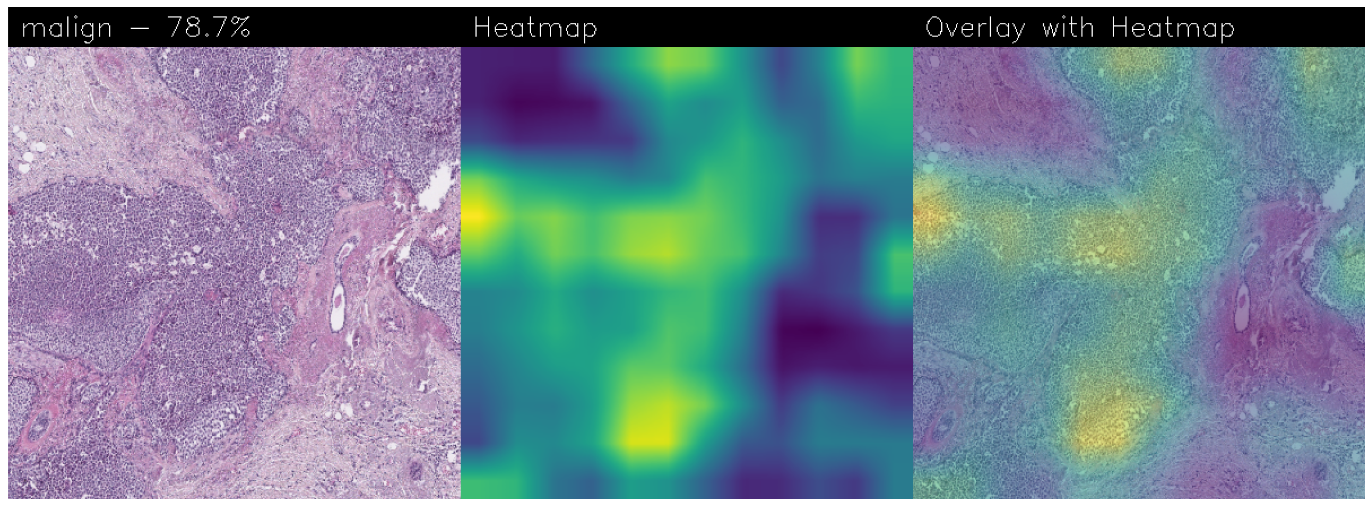 Sensors 24 07022 g019