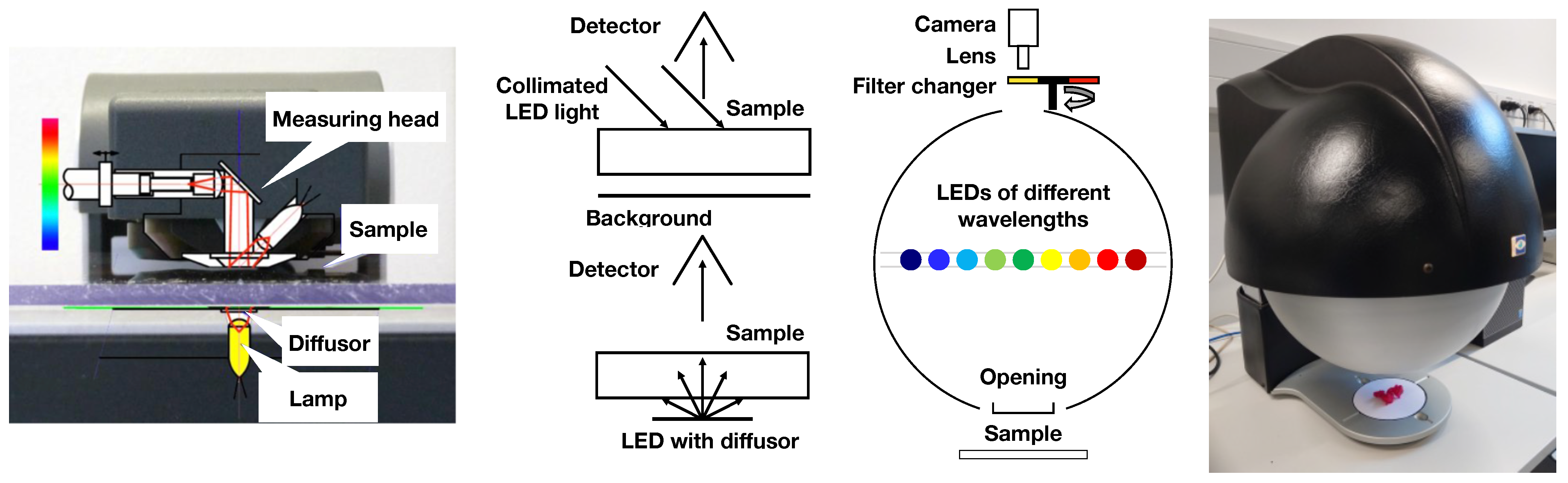 Sensors 24 07025 g002