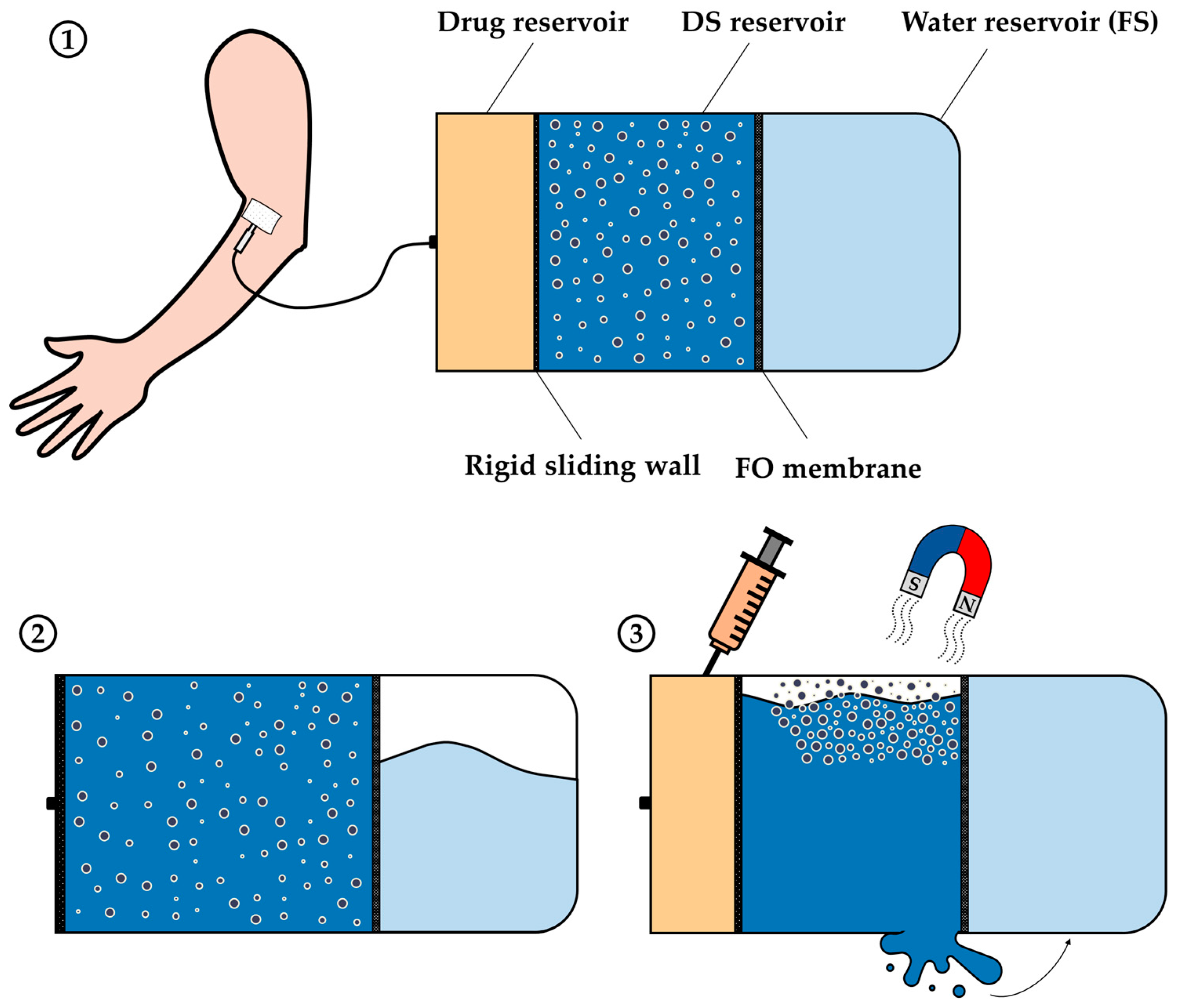 Sensors 24 07042 g008