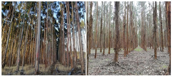 Sensors 24 07048 g010