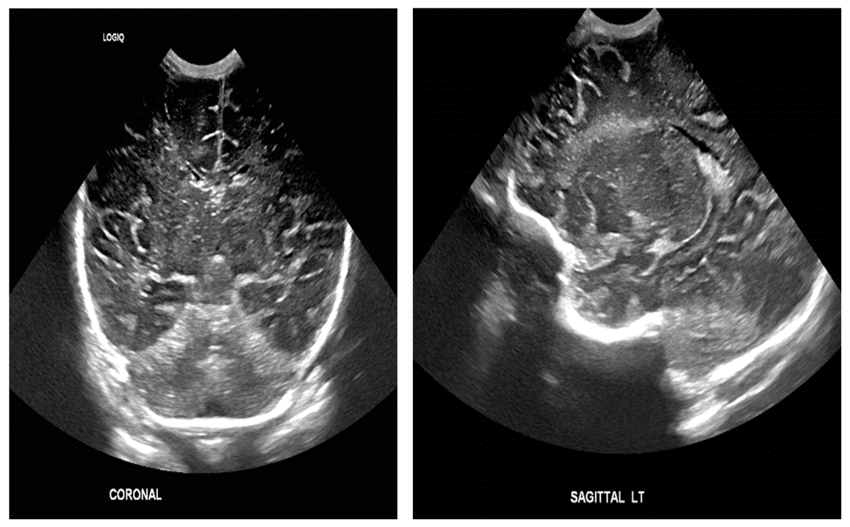Sensors 24 07052 g002