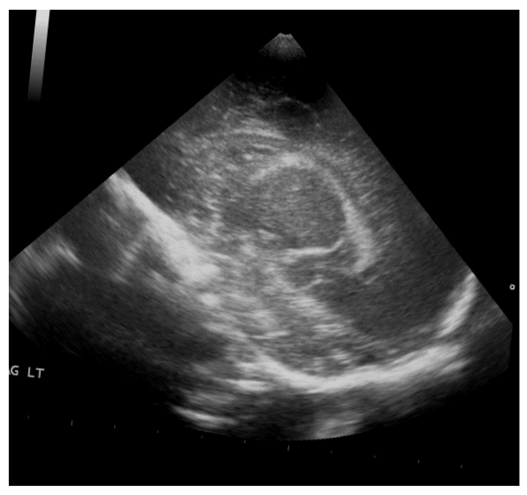 Sensors 24 07052 g005