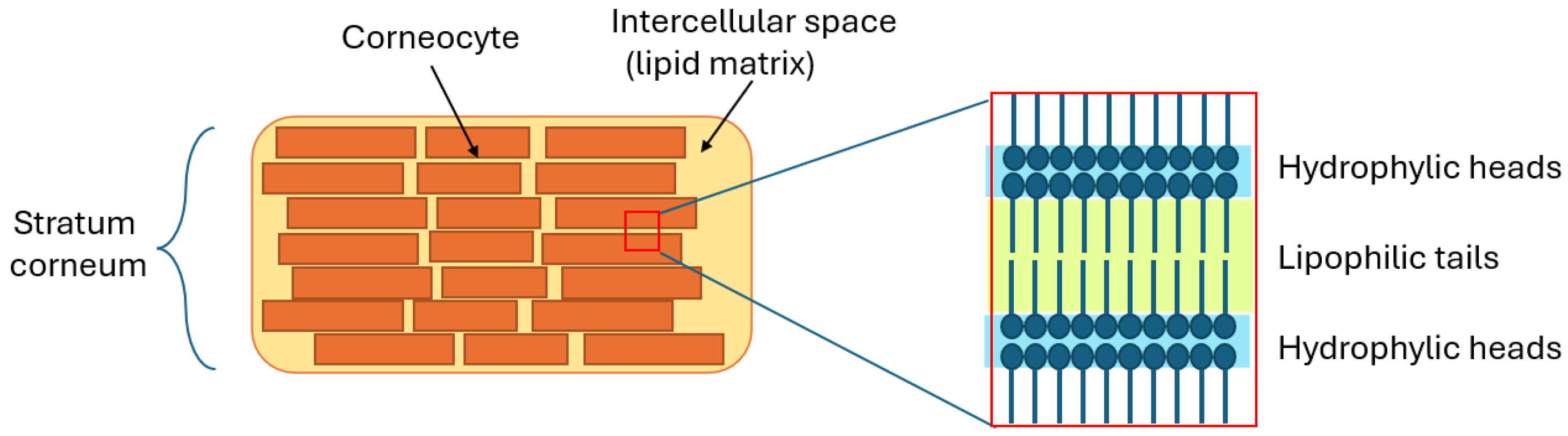 Sensors 24 07054 g001