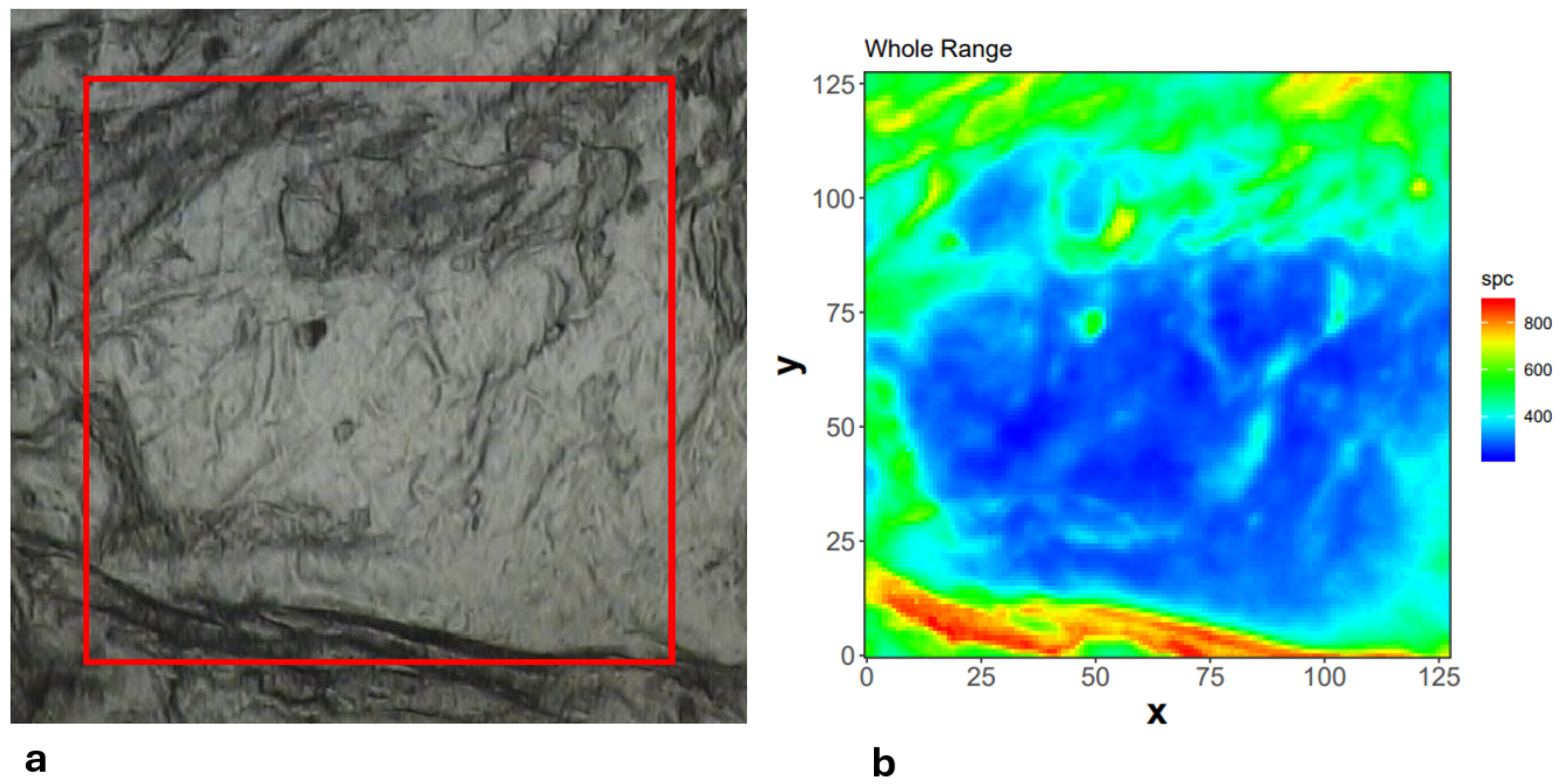 Sensors 24 07054 g002