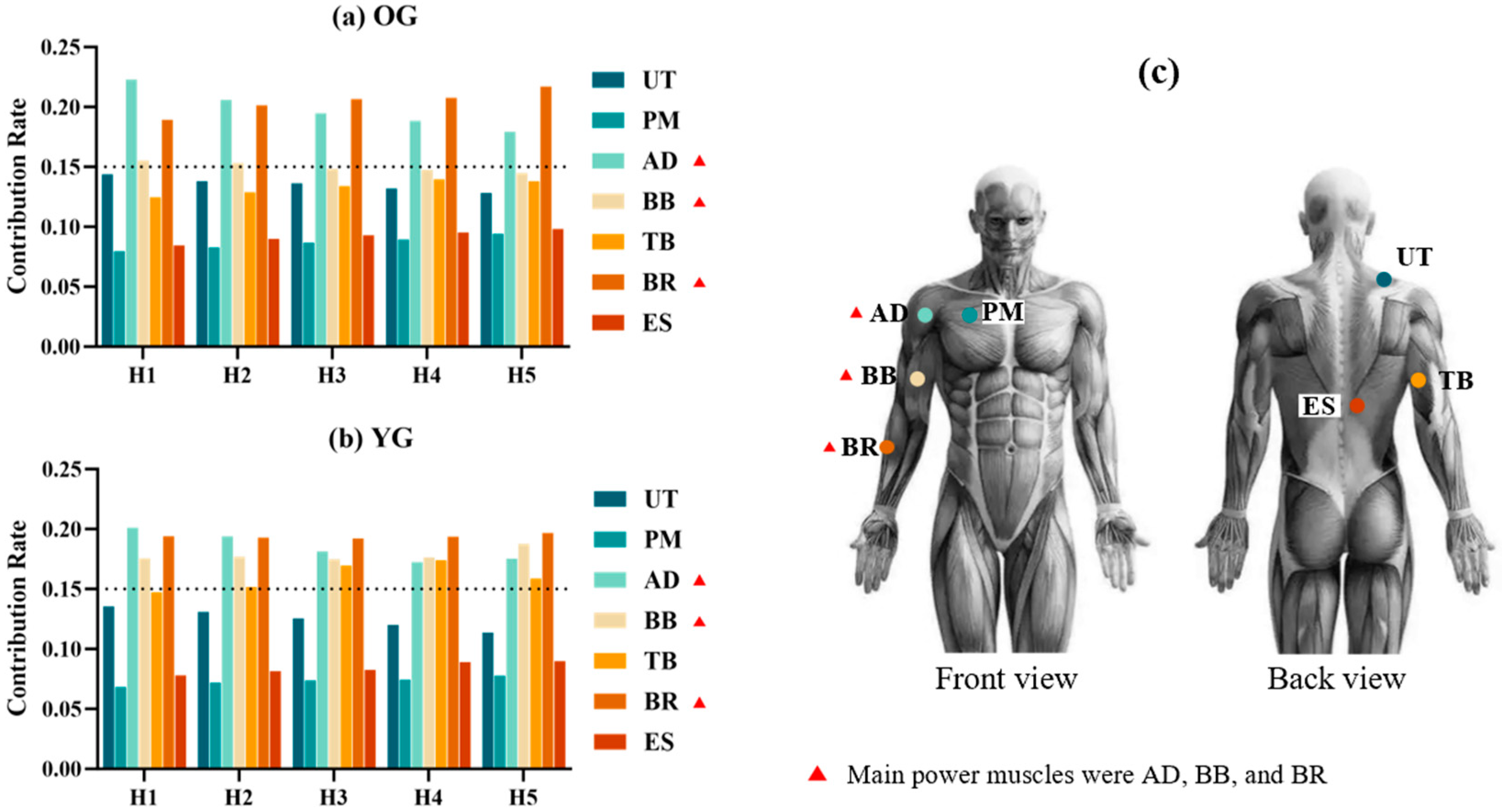 Sensors 24 07056 g002