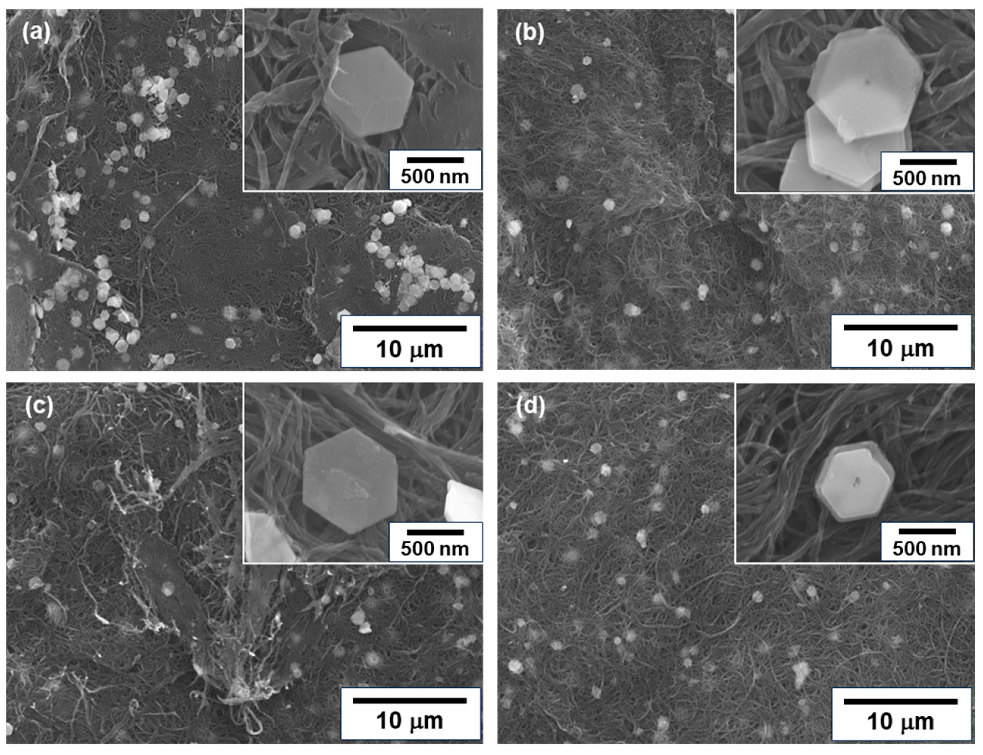 Sensors 24 07060 g003