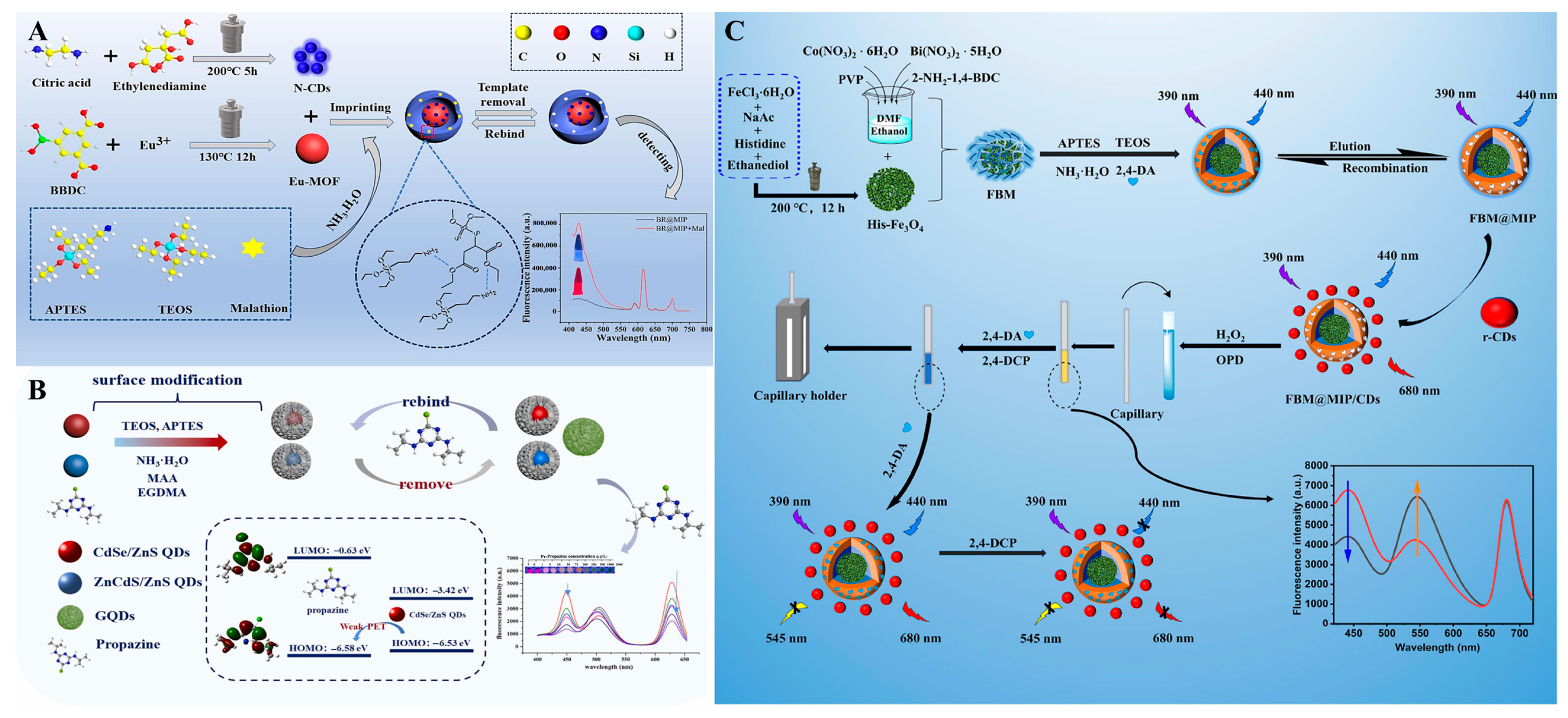 Sensors 24 07068 g005